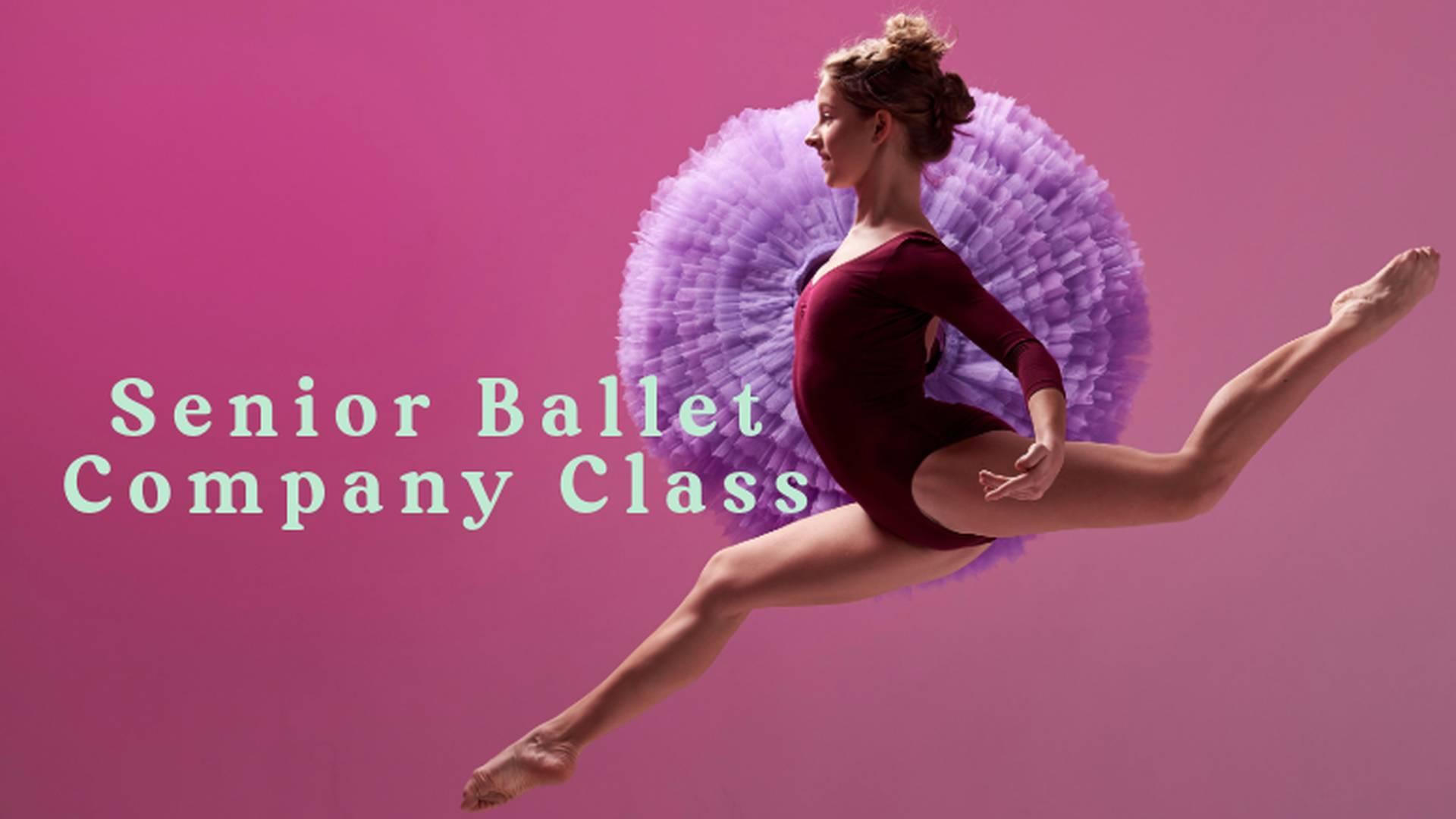 Senior Ballet Company photo