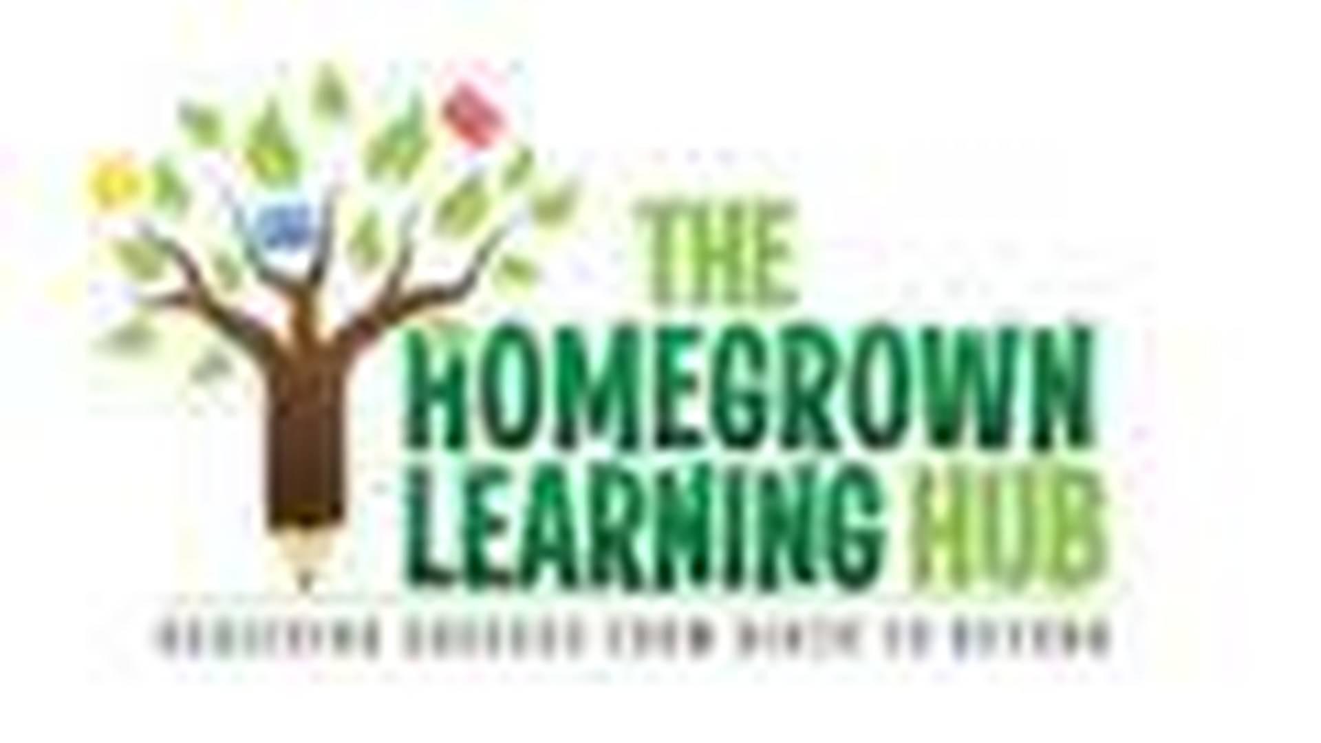 The Homegrown Learning Hub - Baby Massage - The Homegrown Learning Hub photo