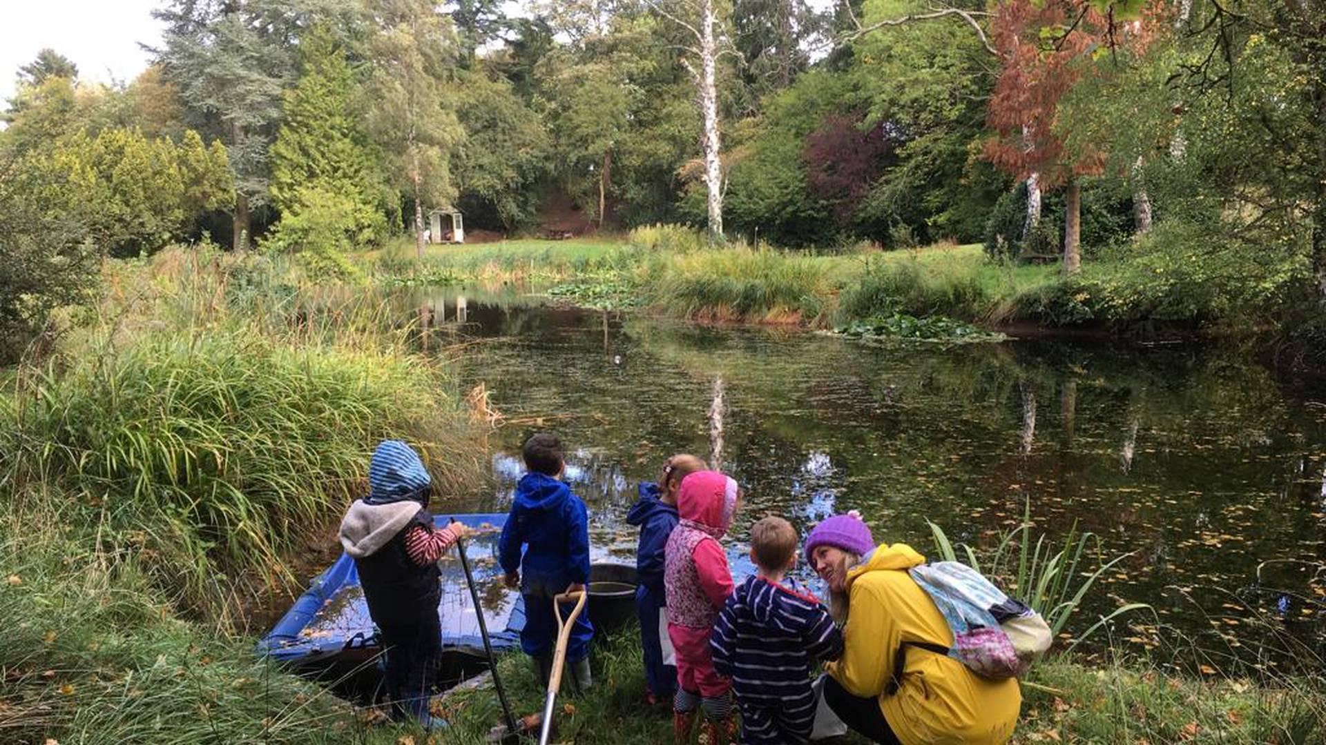 Wonder Woods Forest School and Outdoor Learning photo