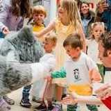 Activity image