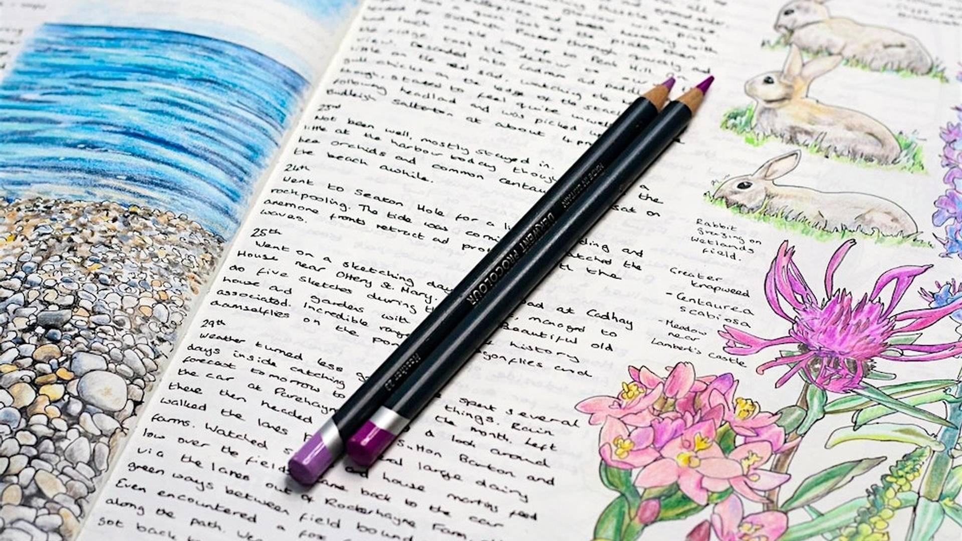 Introduction to Nature Journaling with Alex Boon photo