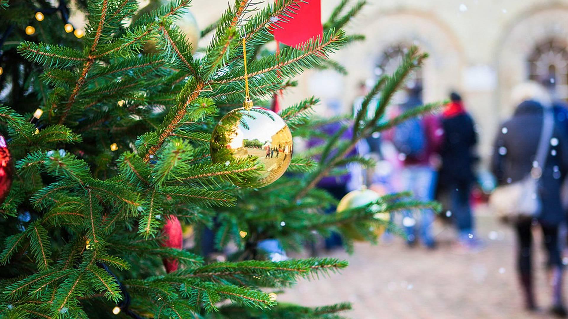 Festive Fun At Kenilworth Castle photo