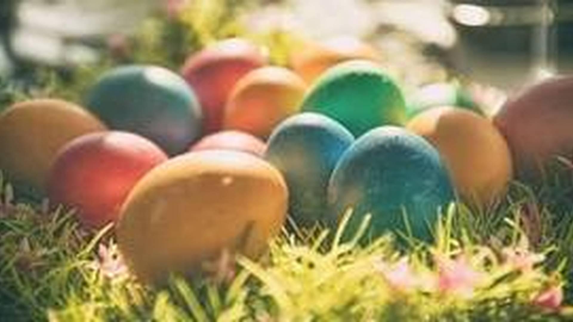 Easter Sunday Egg Hunt and Afternoon Tea with Disney Princesses photo