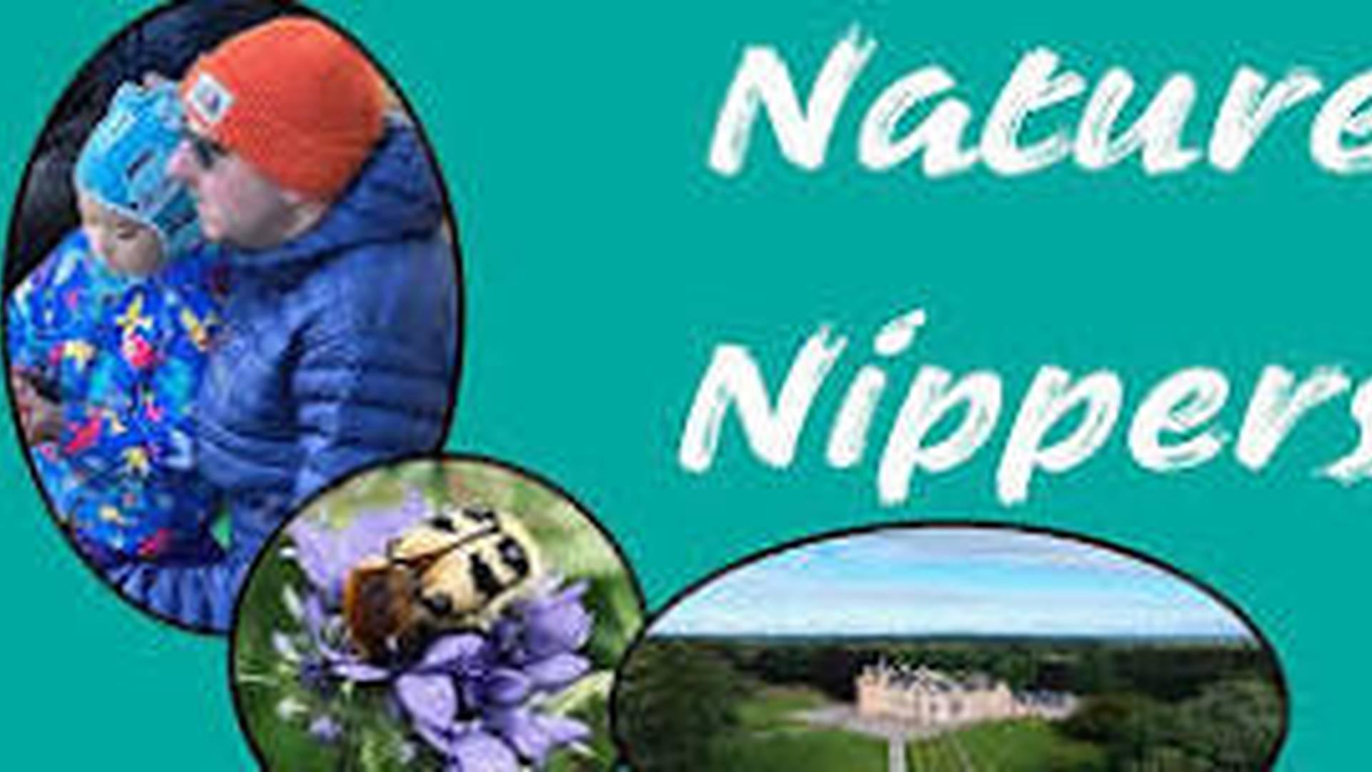 Nature Nippers! photo