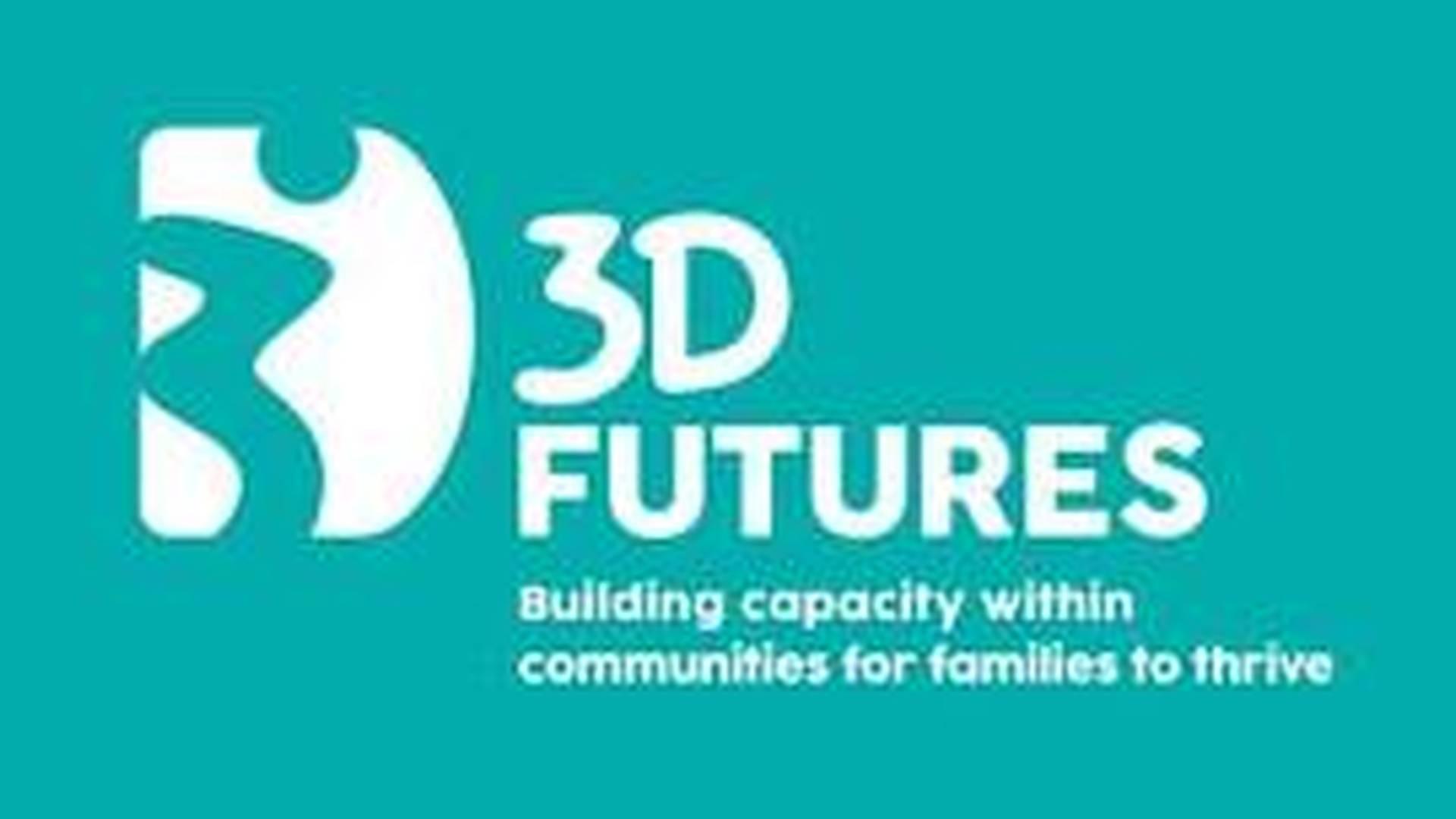 3D Futures 'Collaborating for Family Support Systems Change' in person photo