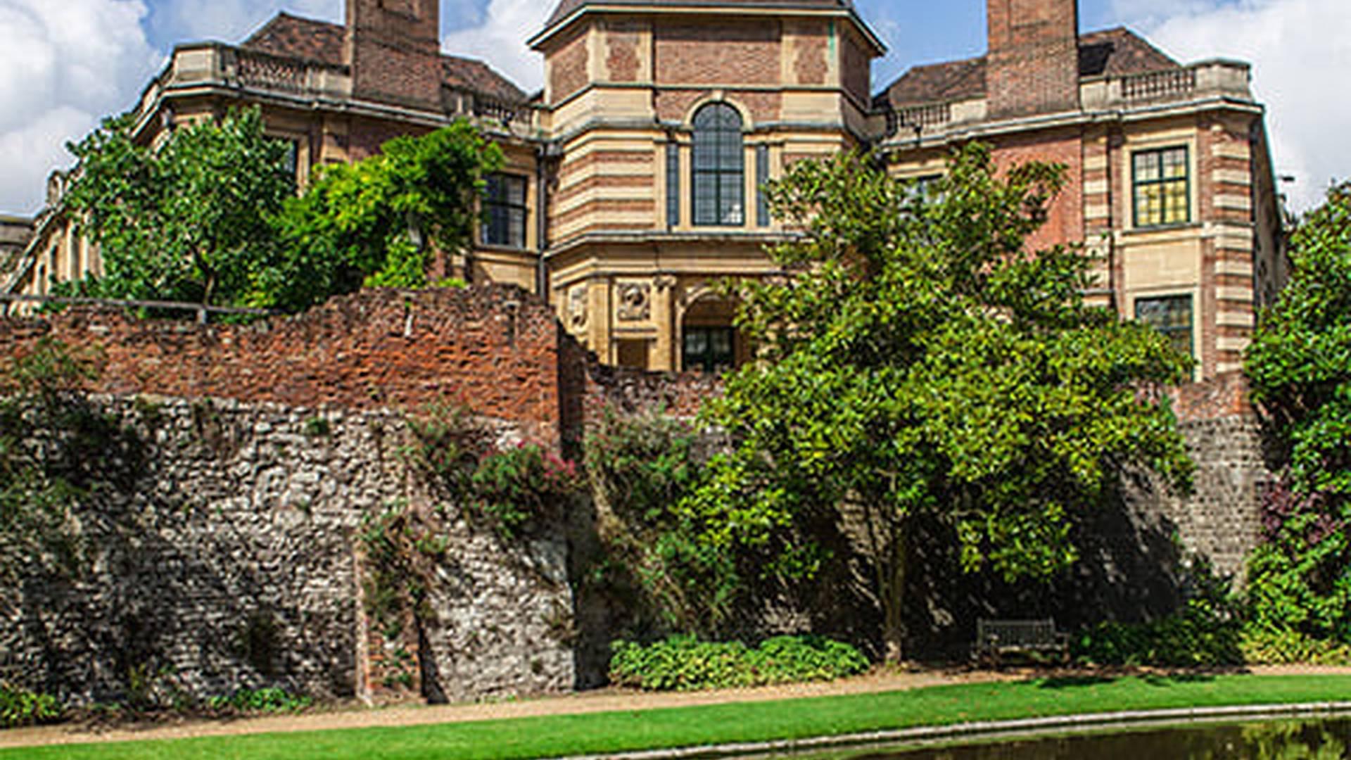 Members' Week: photo