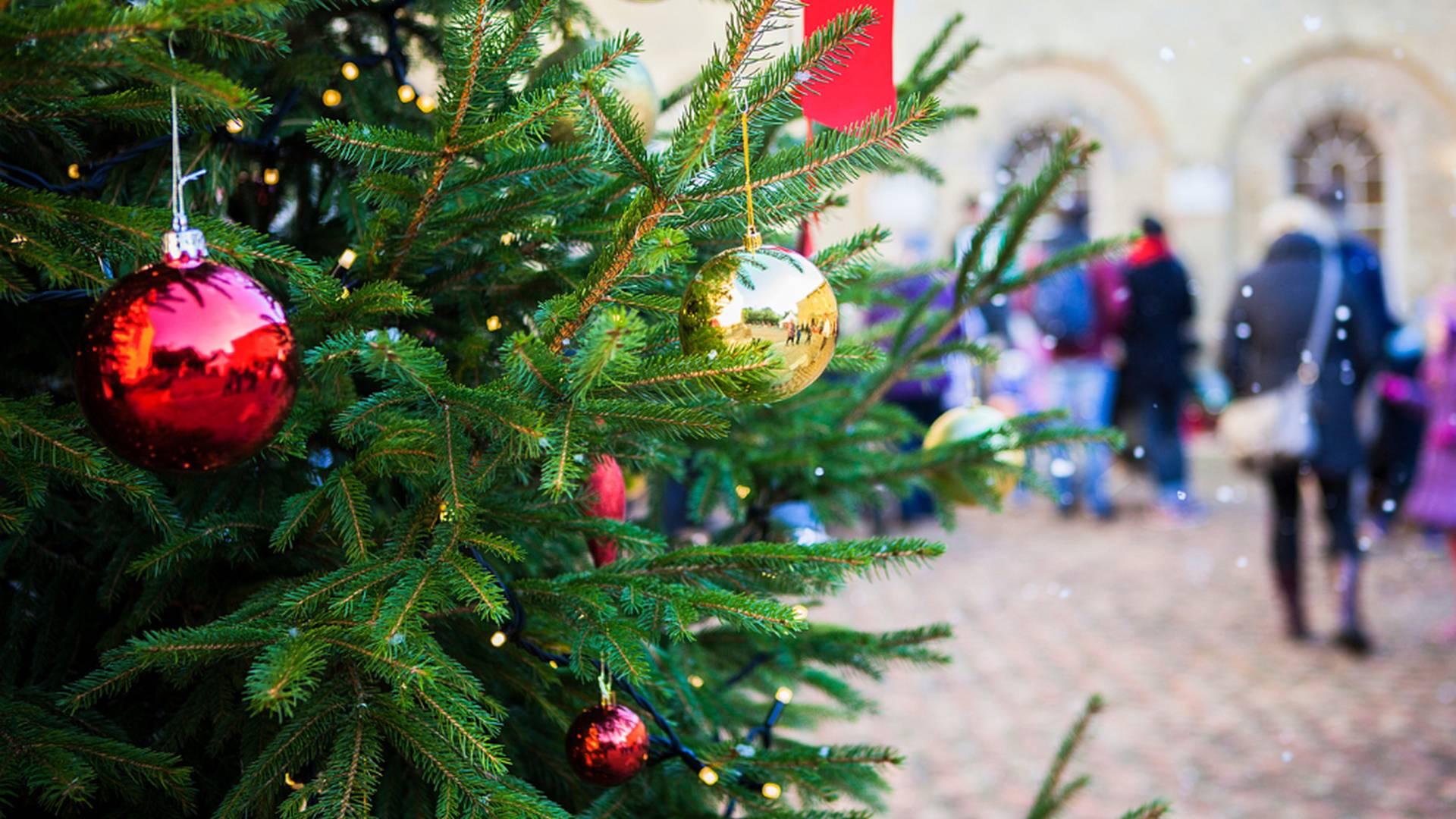 Festive Fun At Audley End House And Gardens photo
