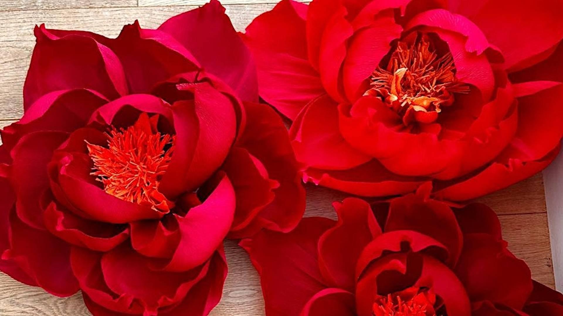 Flowers & Fizz: giant crepe flower making workshop photo