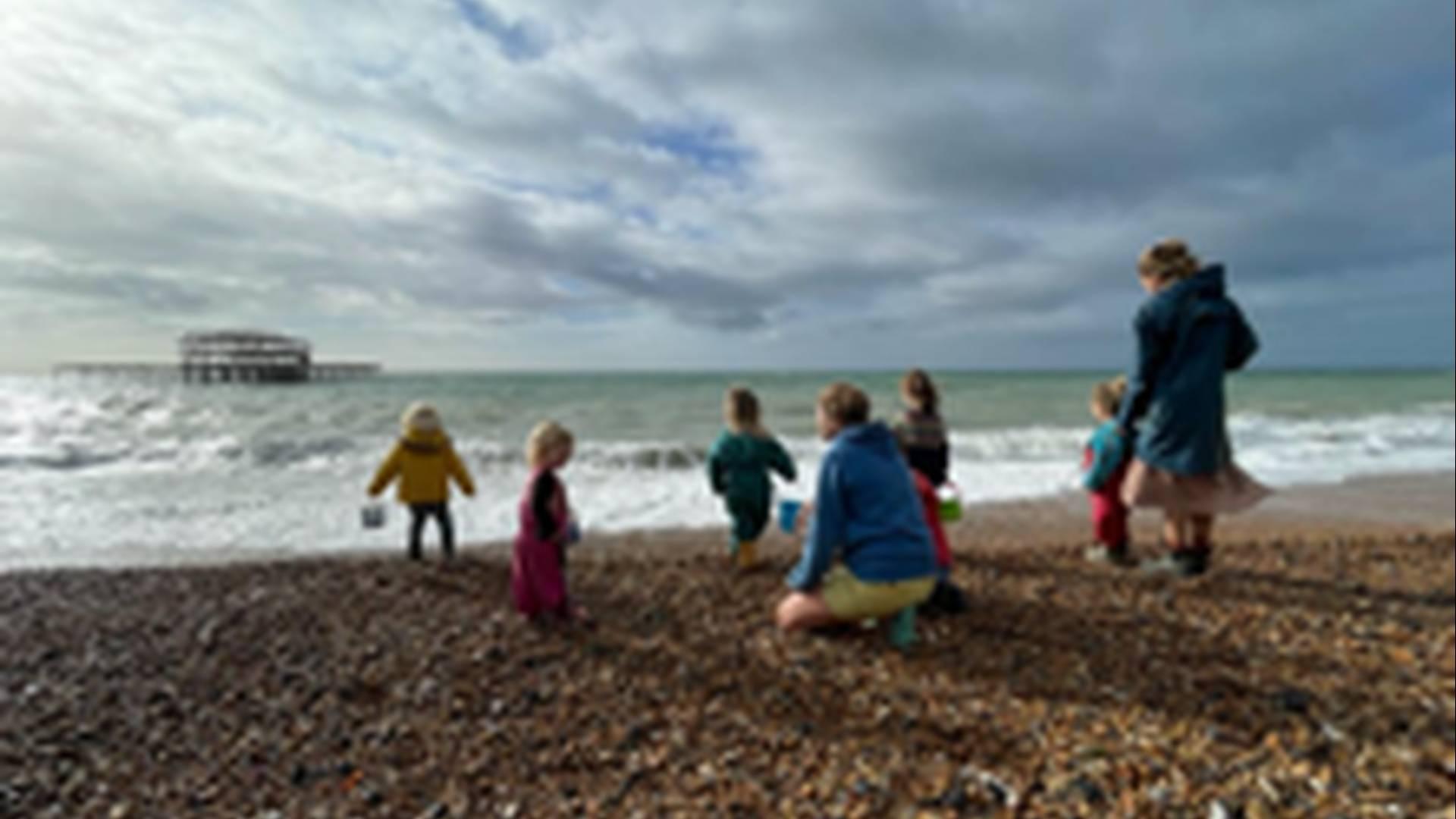 Fledglings by the beach photo