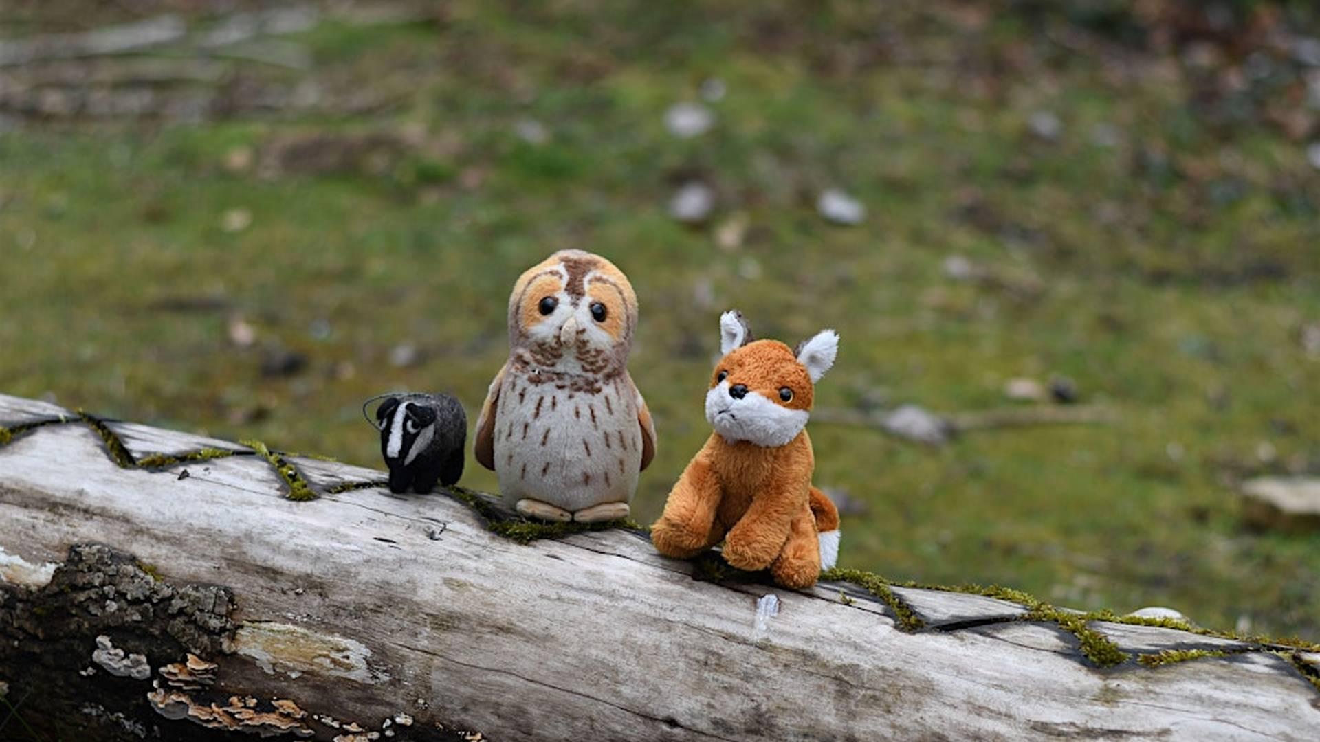 Nature Tots at Coaley Peak photo