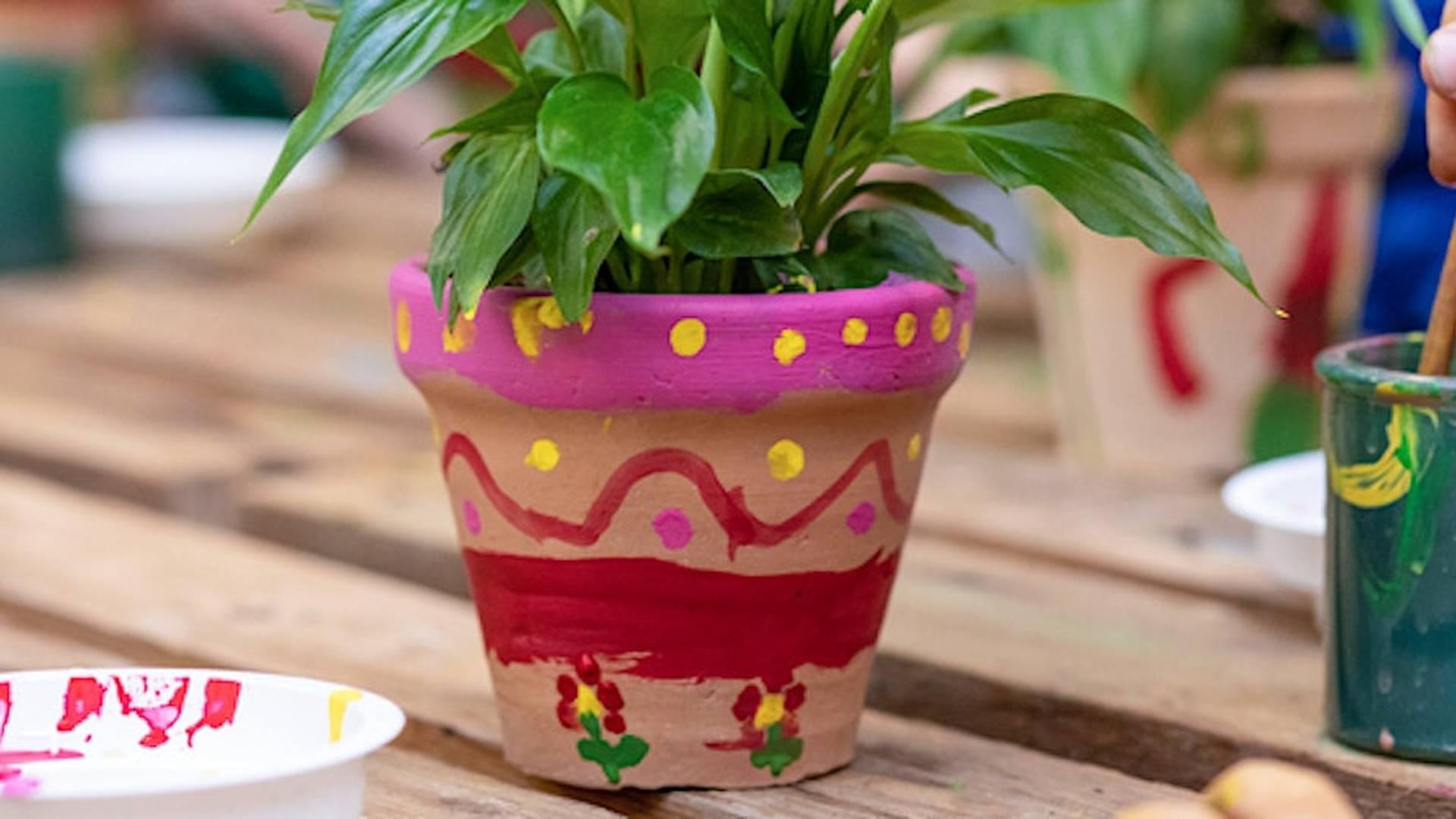 Kids' Mini Plant Pot Painting Workshop photo