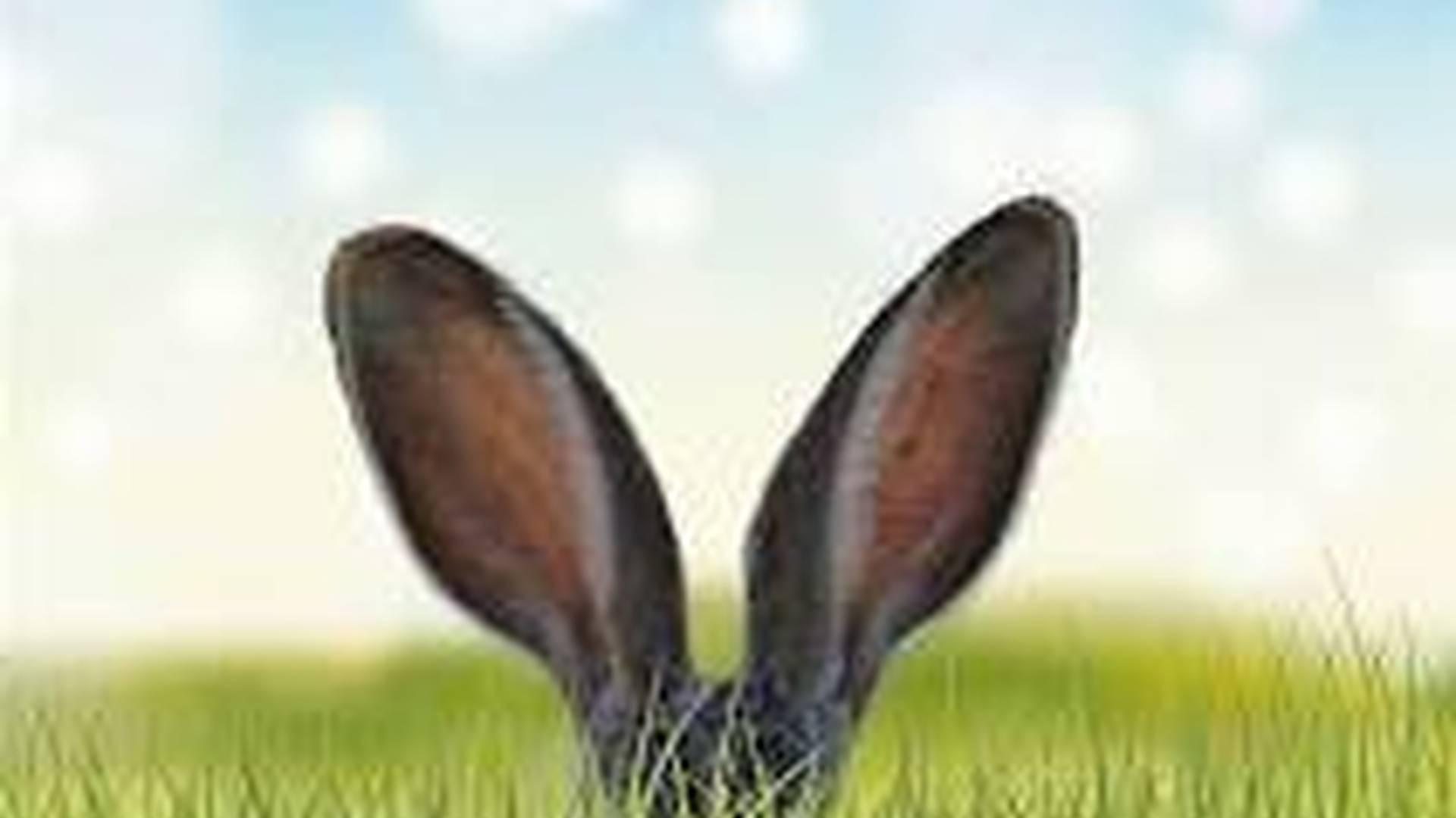 Easter Kids Dance photo