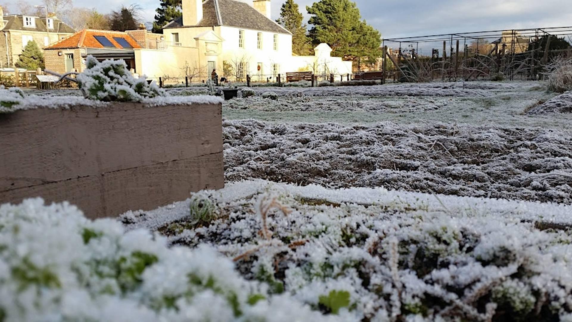 Winter British Sign Language Garden Tour - Royal Botanic Garden Edinburgh photo