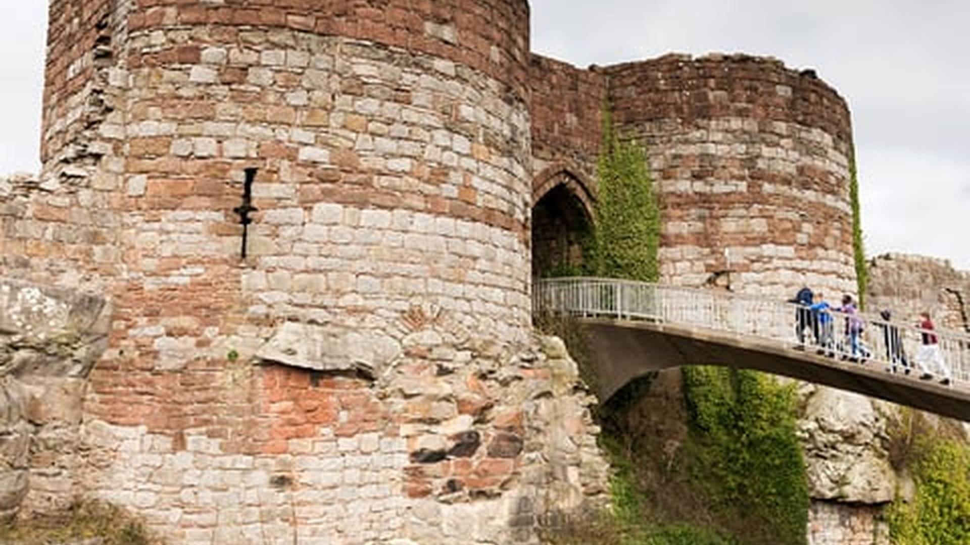 Members' Week: photo