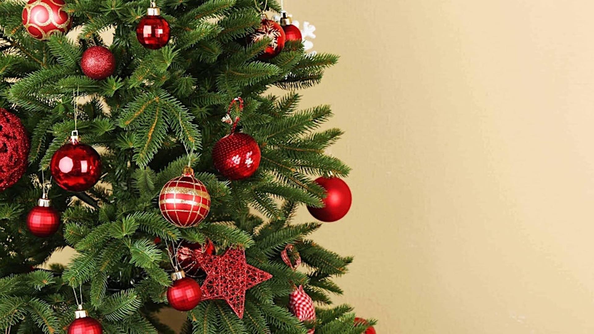 Christmas Ball Night photo