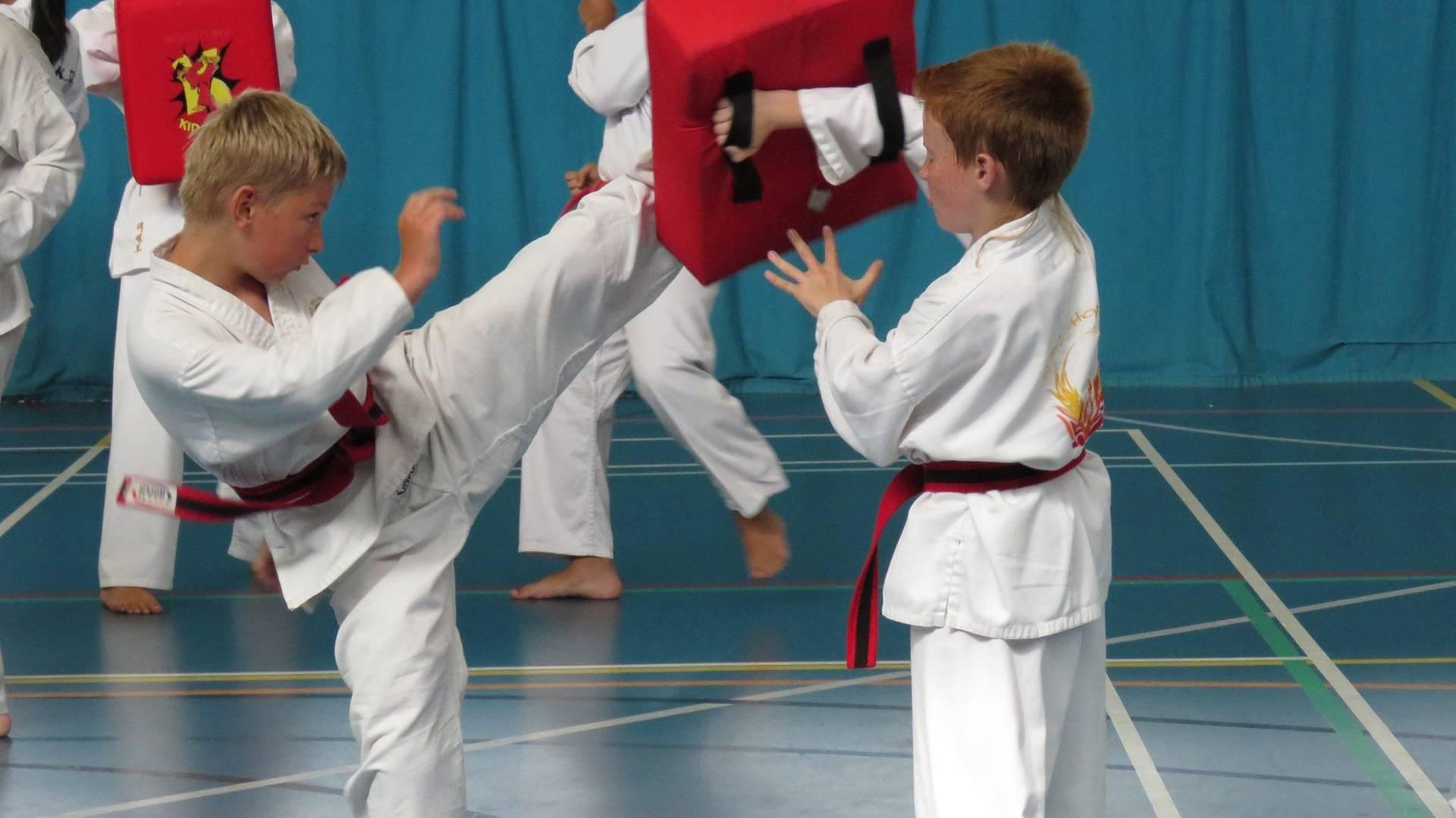 Malvern Tae Kwon Do Academy photo