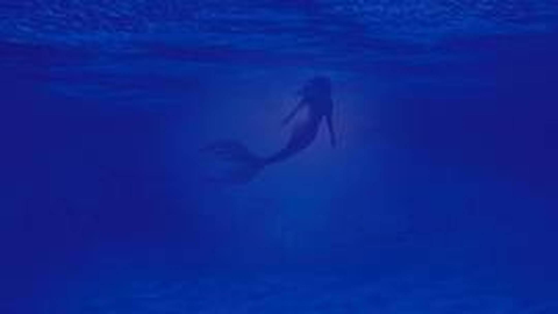 The Little Mermaid photo