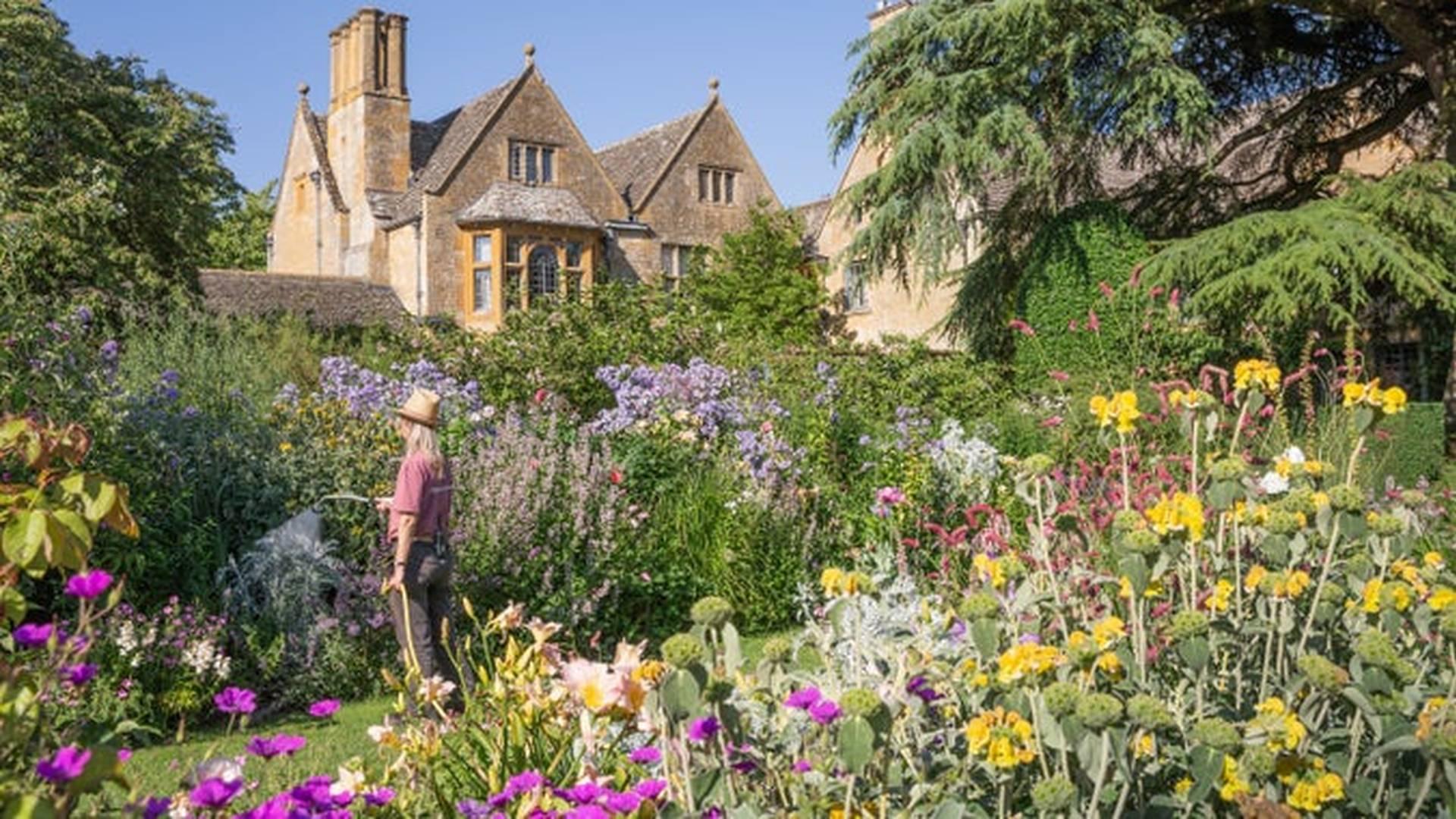 Nature’S Tapestry | Botanical Embroidery At Hidcote photo