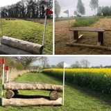 Activity image