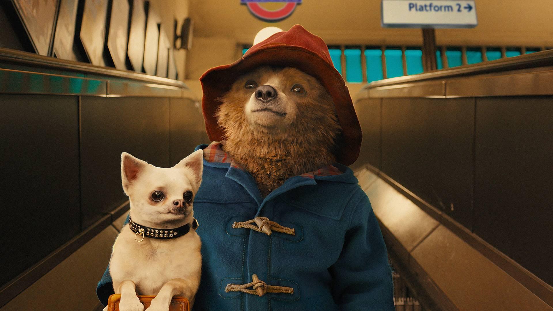 Paddington Day photo