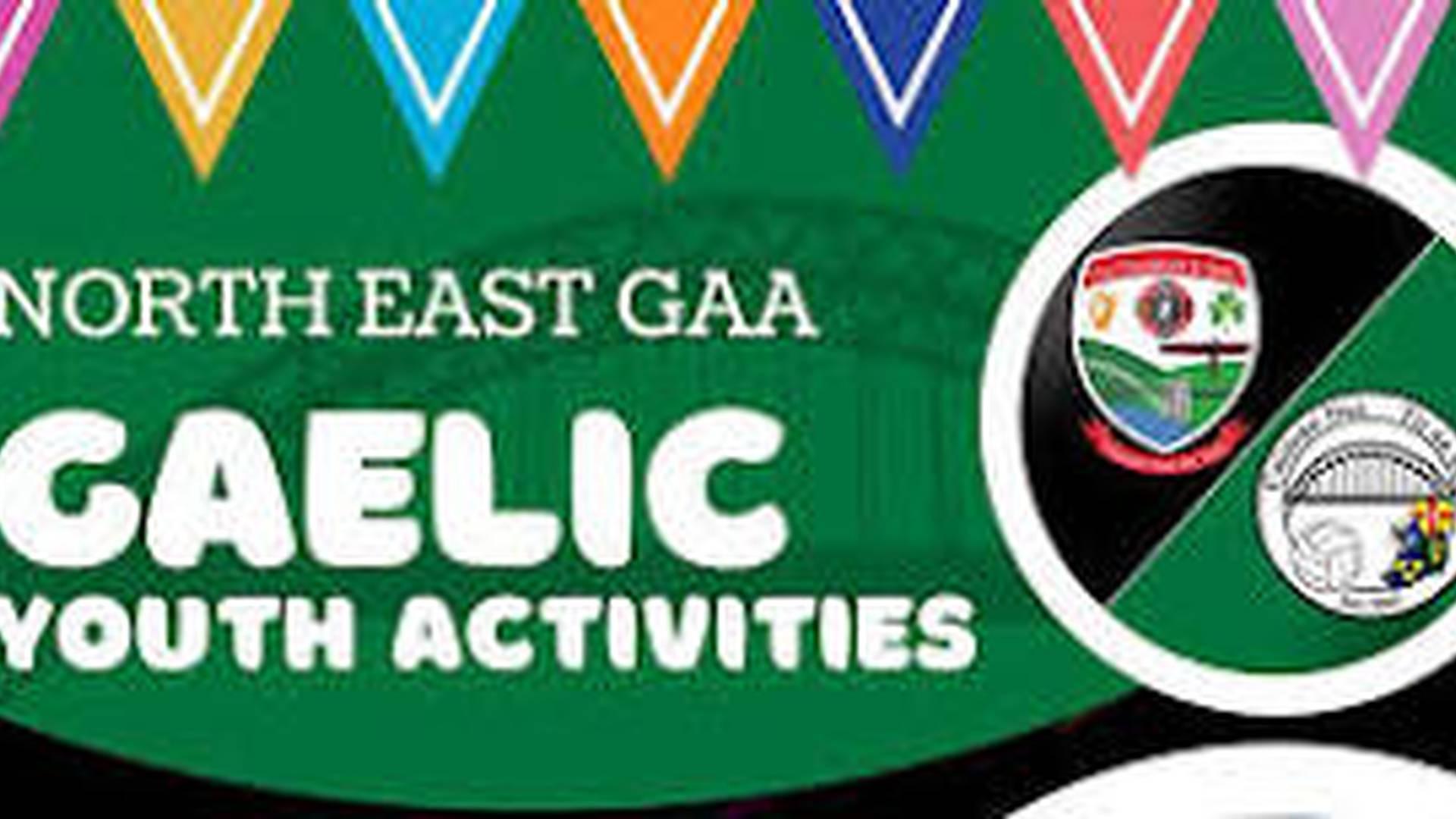 Family Fun Day - Organised by Newcastle Upon Tyne GAA photo