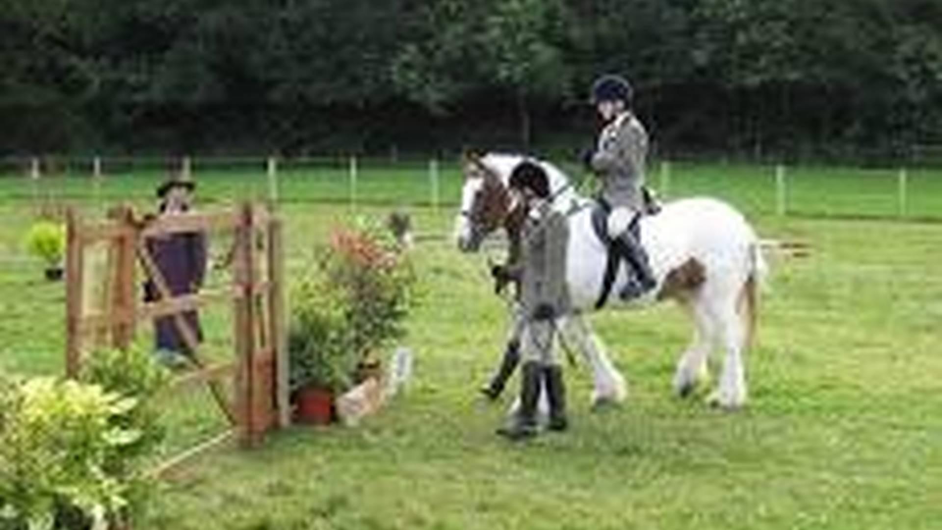 Pony Care afternoon photo