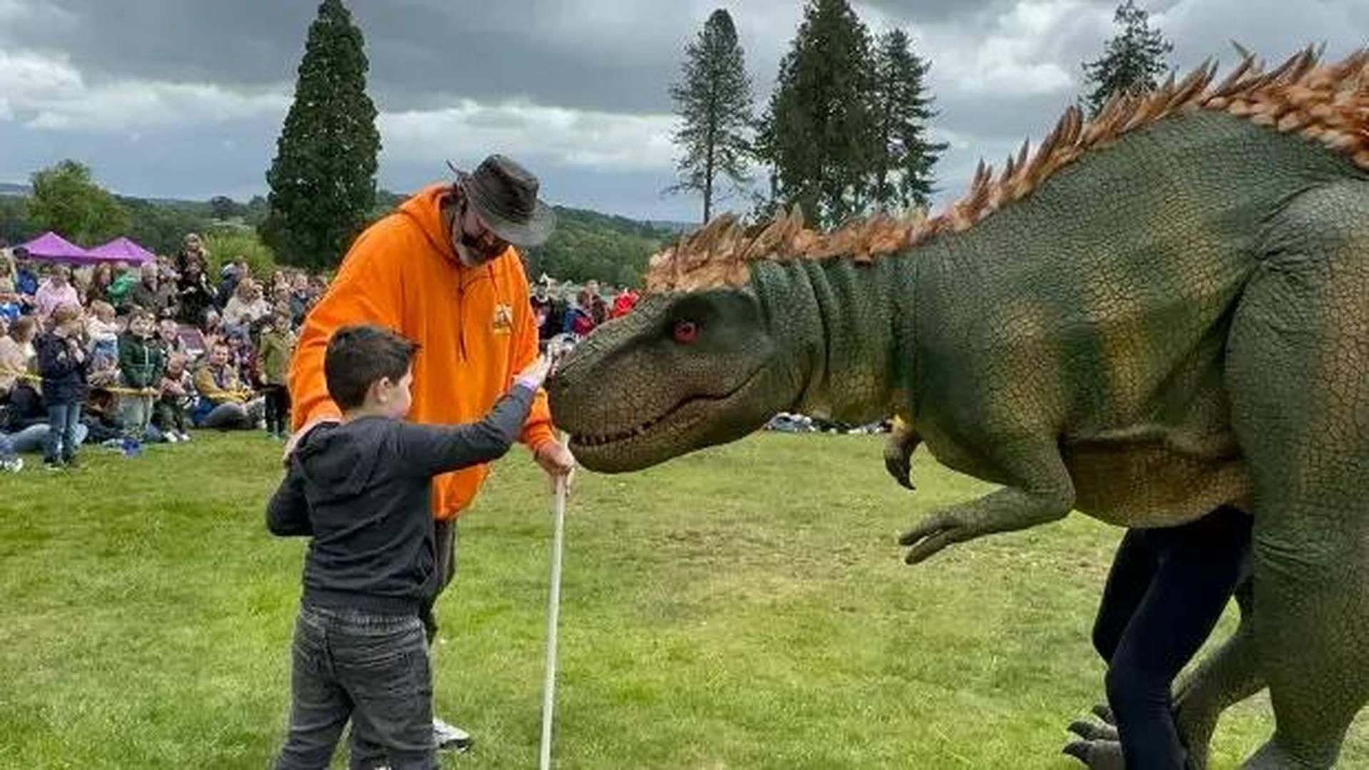 Dino Discovery Day photo