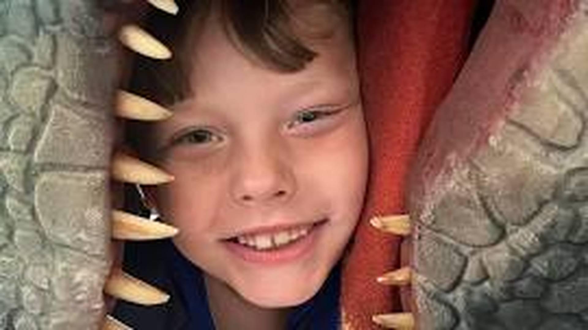 Dino-mite Bash, Delamont Country Park | Forest Activities photo