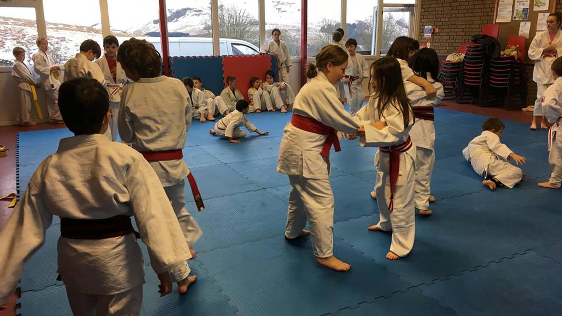 Active Judo photo