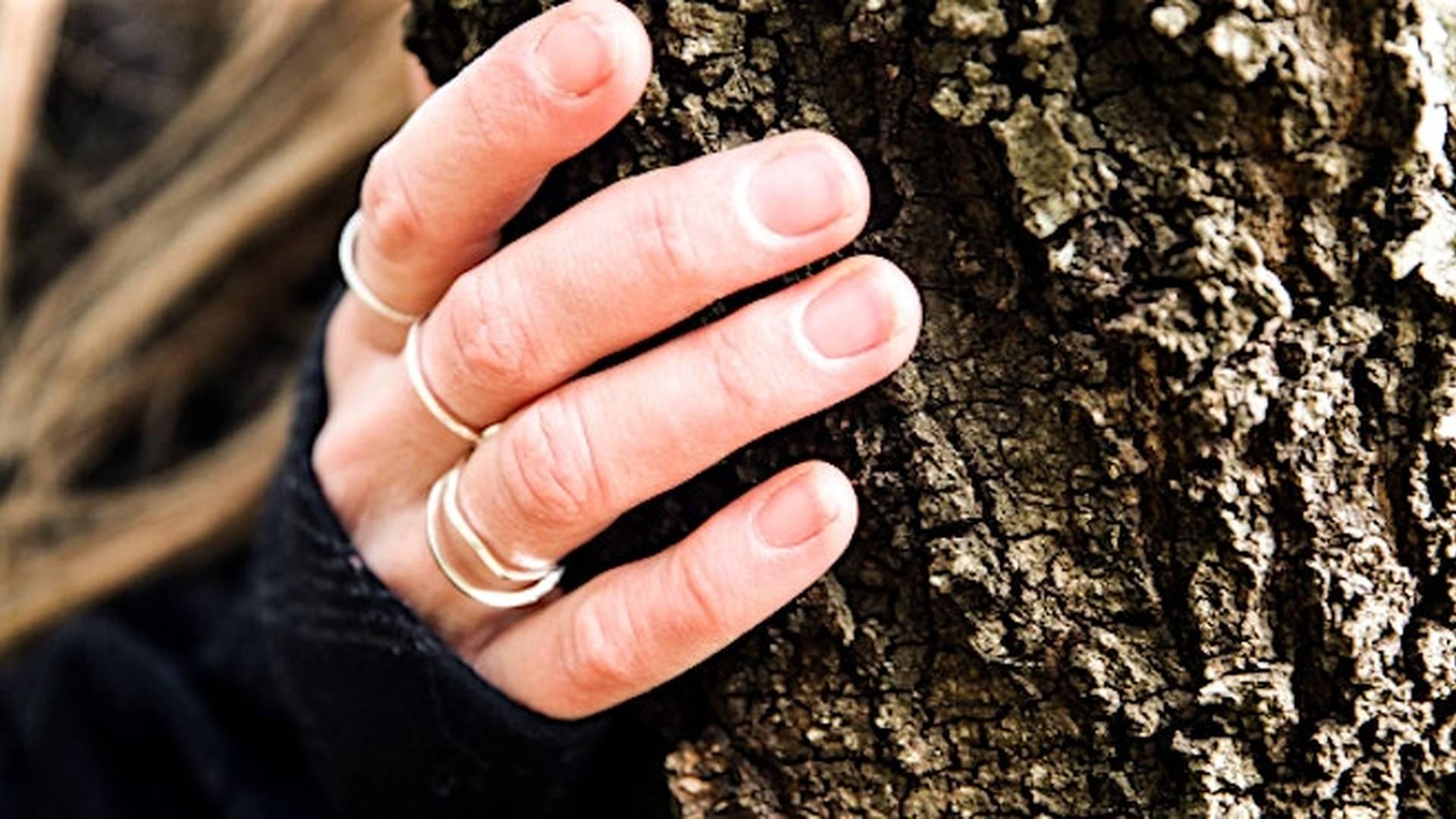 Forest Bathing 4-Week Course photo