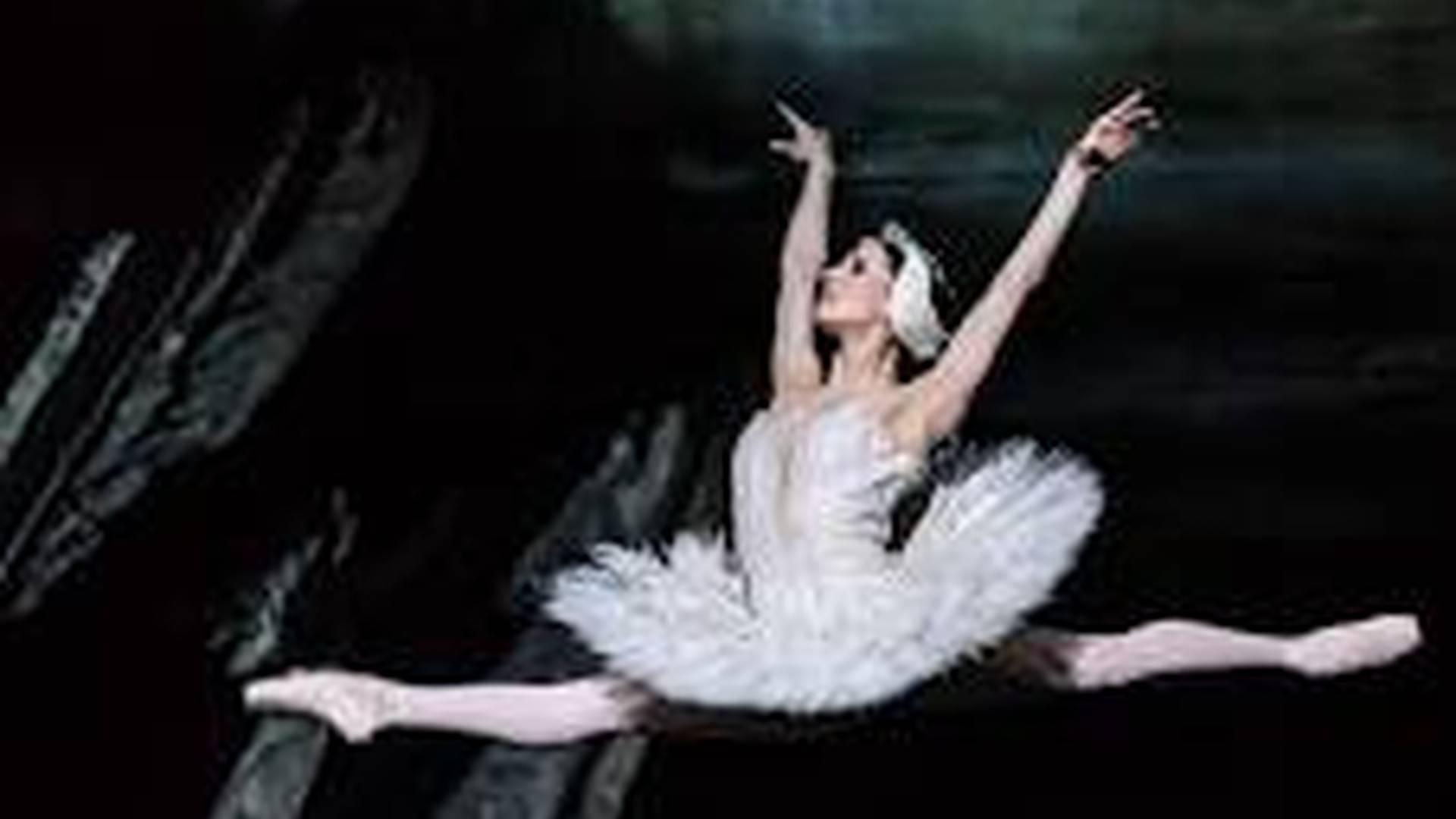 Swan Lake Â the Royal Ballet photo