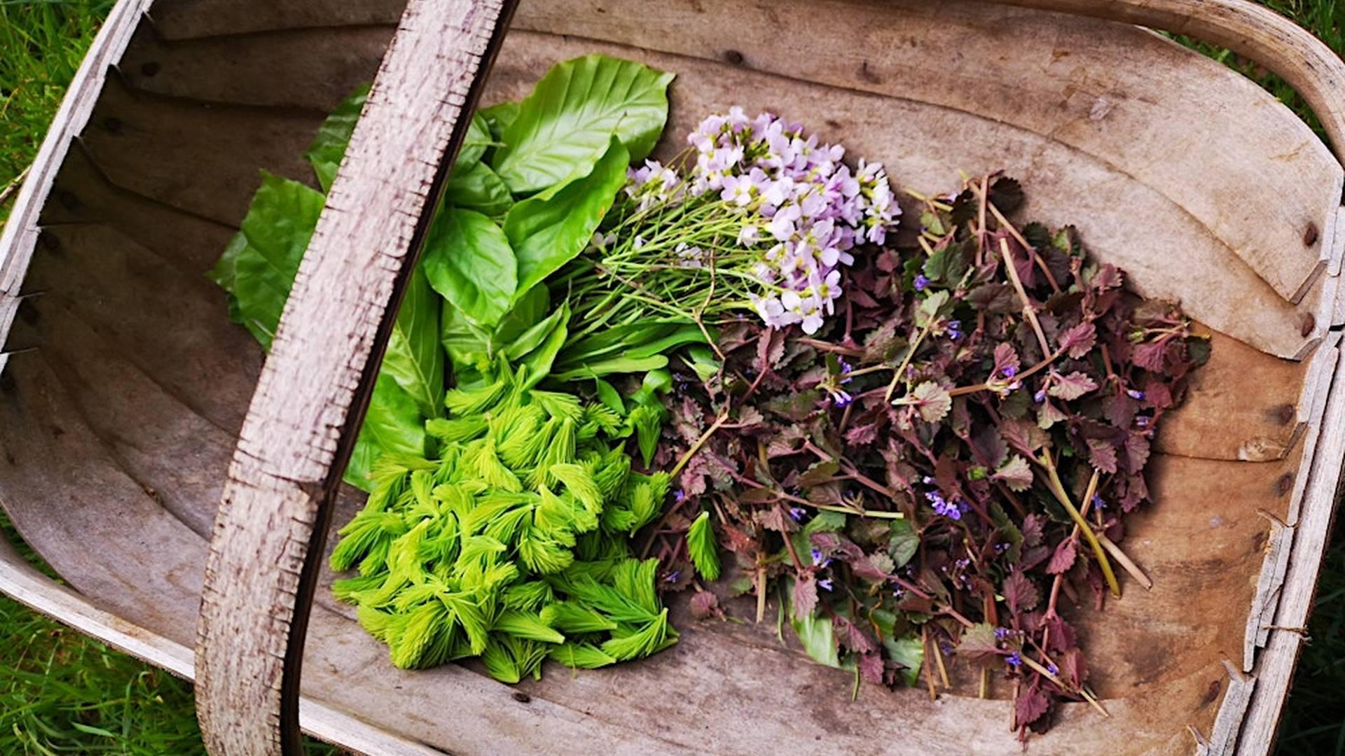 Spring Foraging (morning) photo