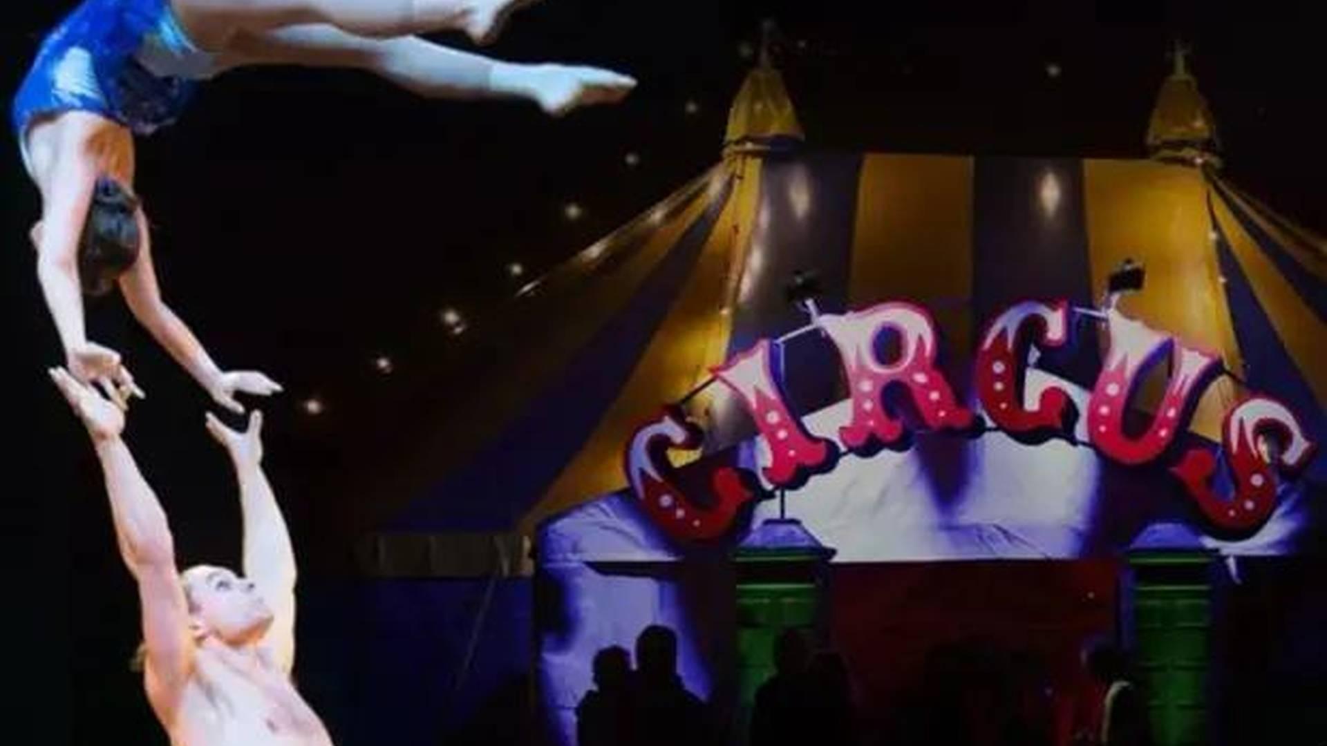 Boom Circus: Pirates Of The Big Top photo