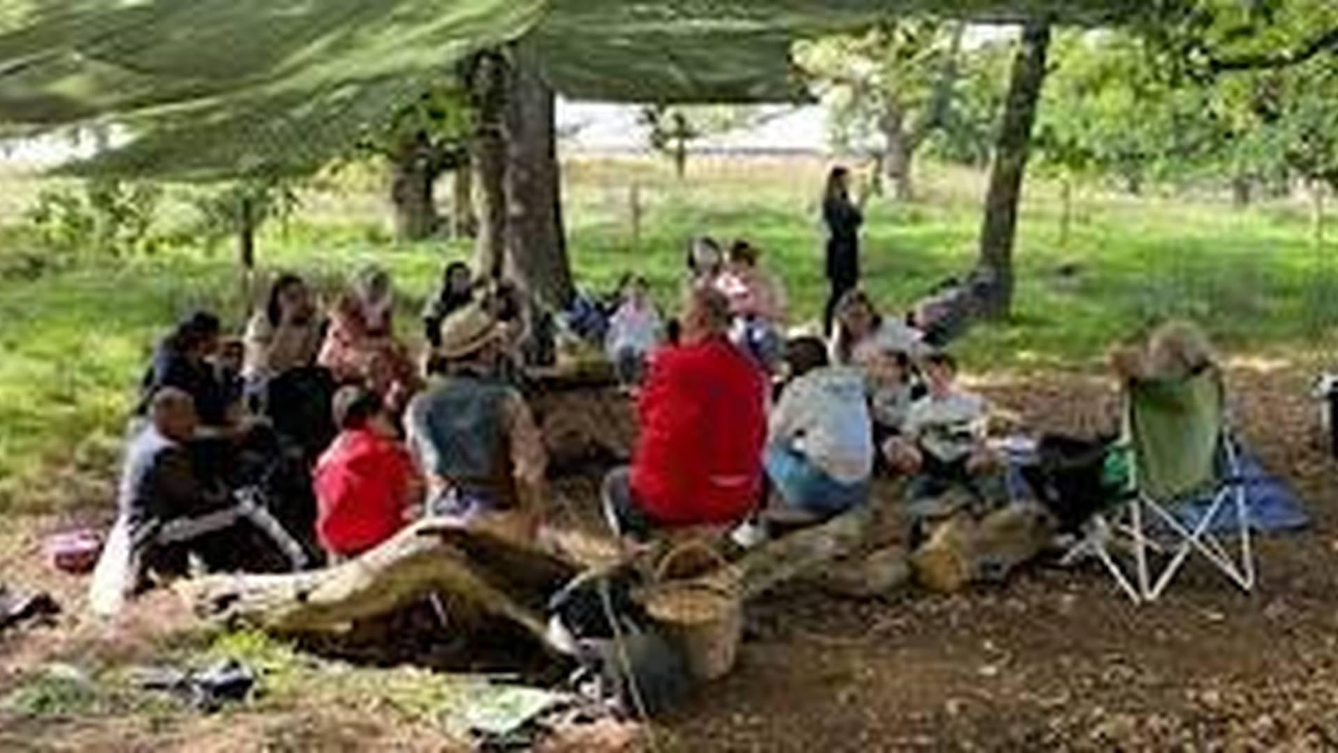 Forest Family Fun | Harwes Farm CIC photo