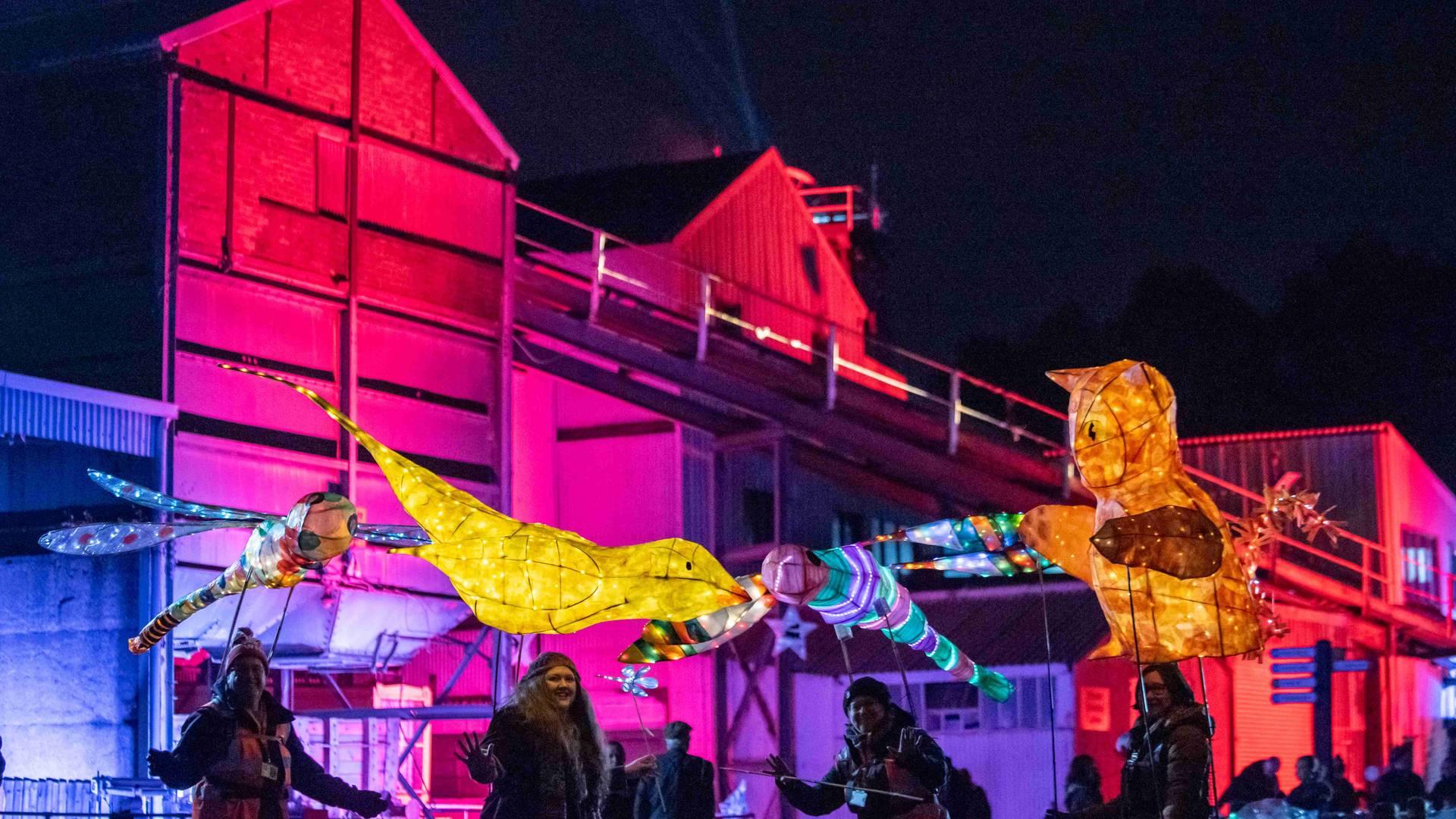 Light Up Festival photo