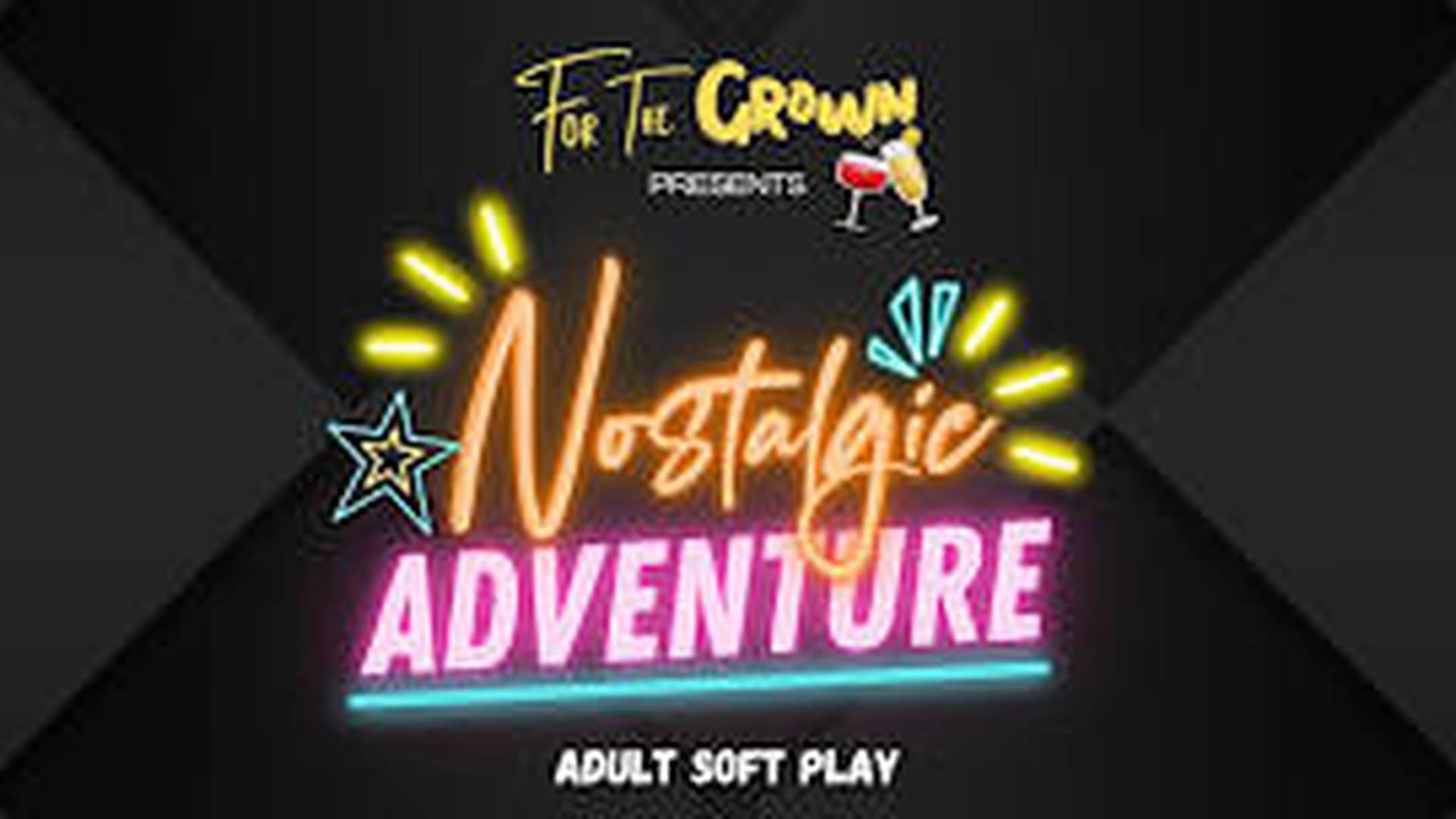 Nostalgic Adventure: Adult Soft Play photo