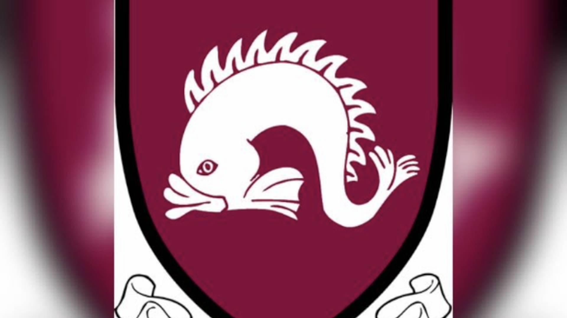 Northbourne Park School photo