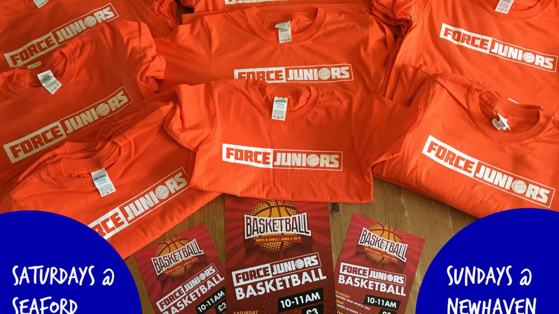 Force Basketball photo