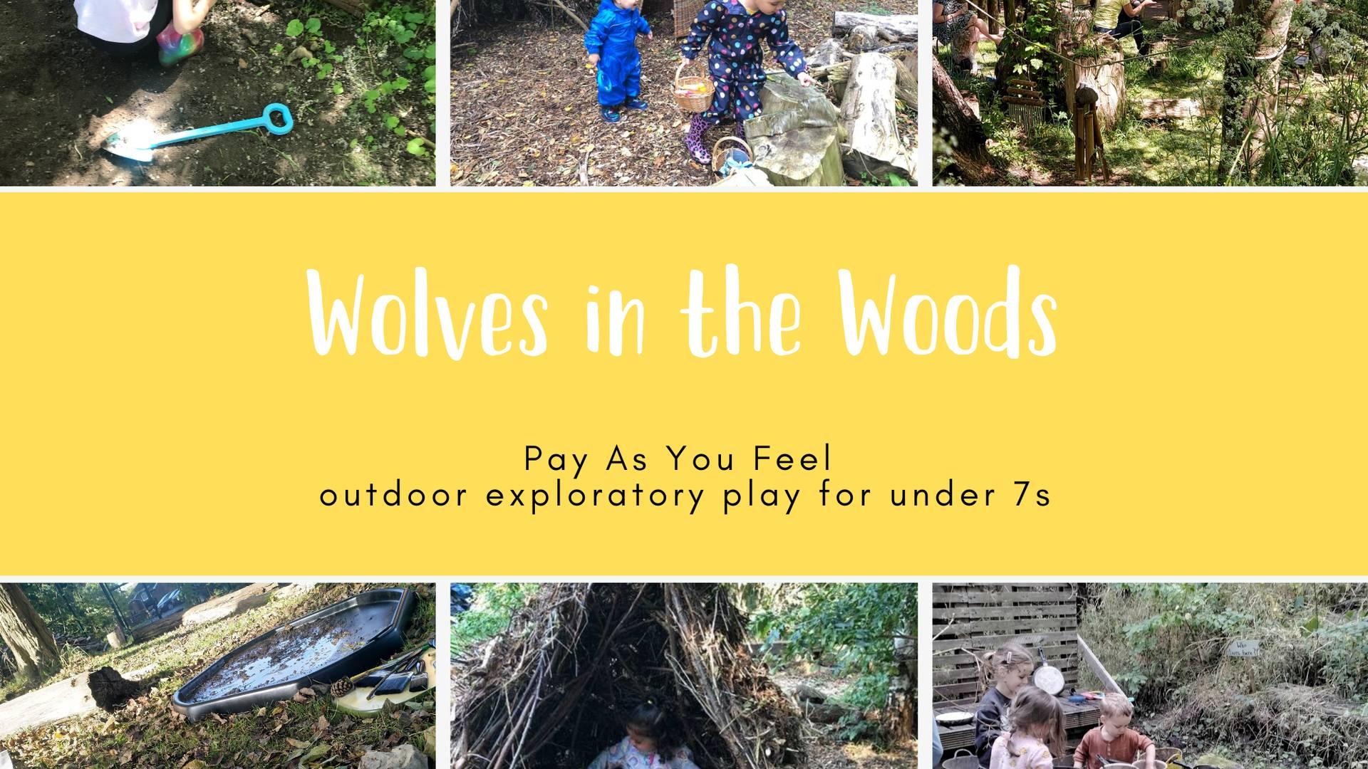 Wolves In the Woods photo
