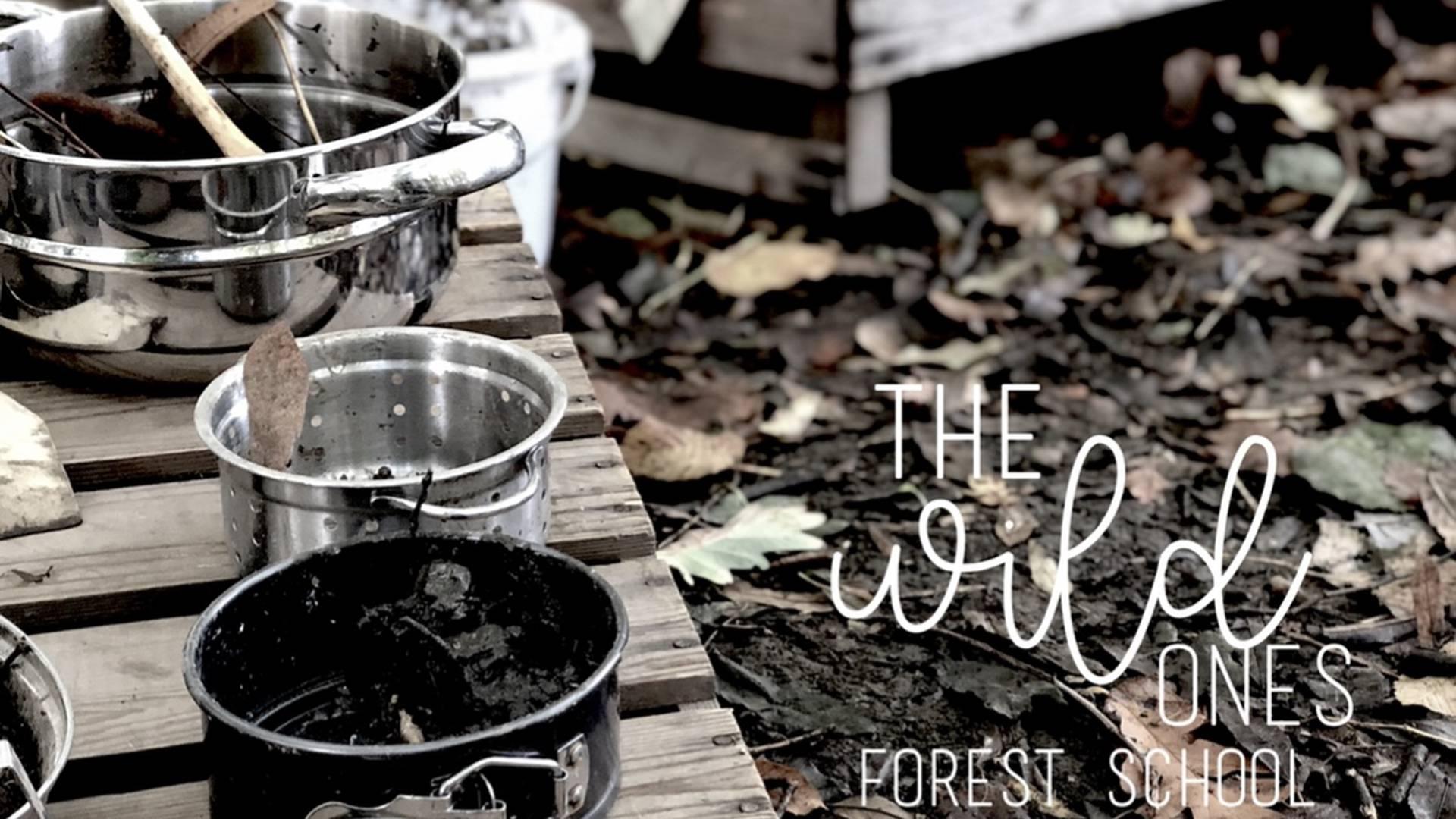 The Wild Ones Forest School photo