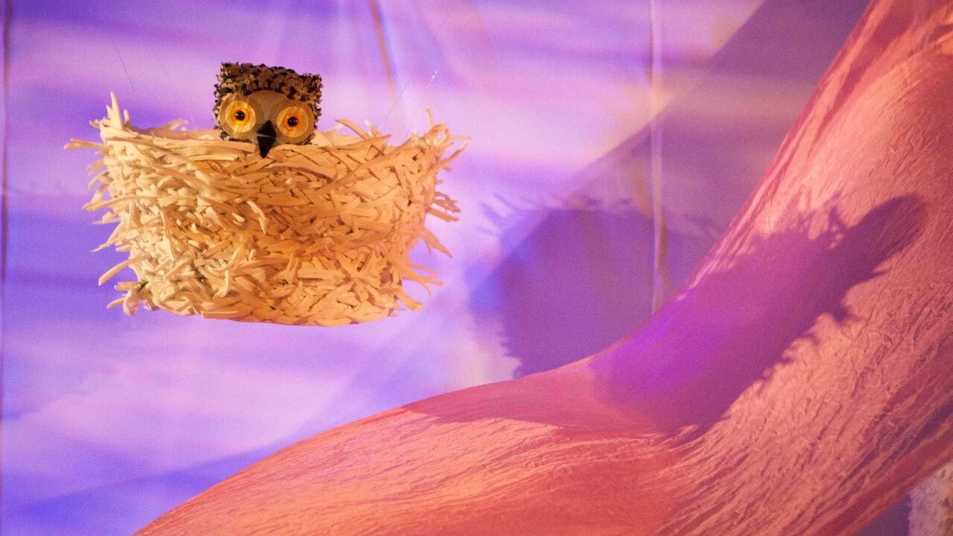 WOW! Said the Owl, Little Angel Theatre Studio: A curious owl experiences a day and a night in this photo