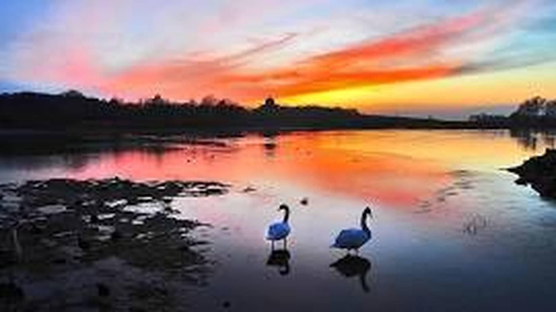 Step into Story time - Hardwick Park photo