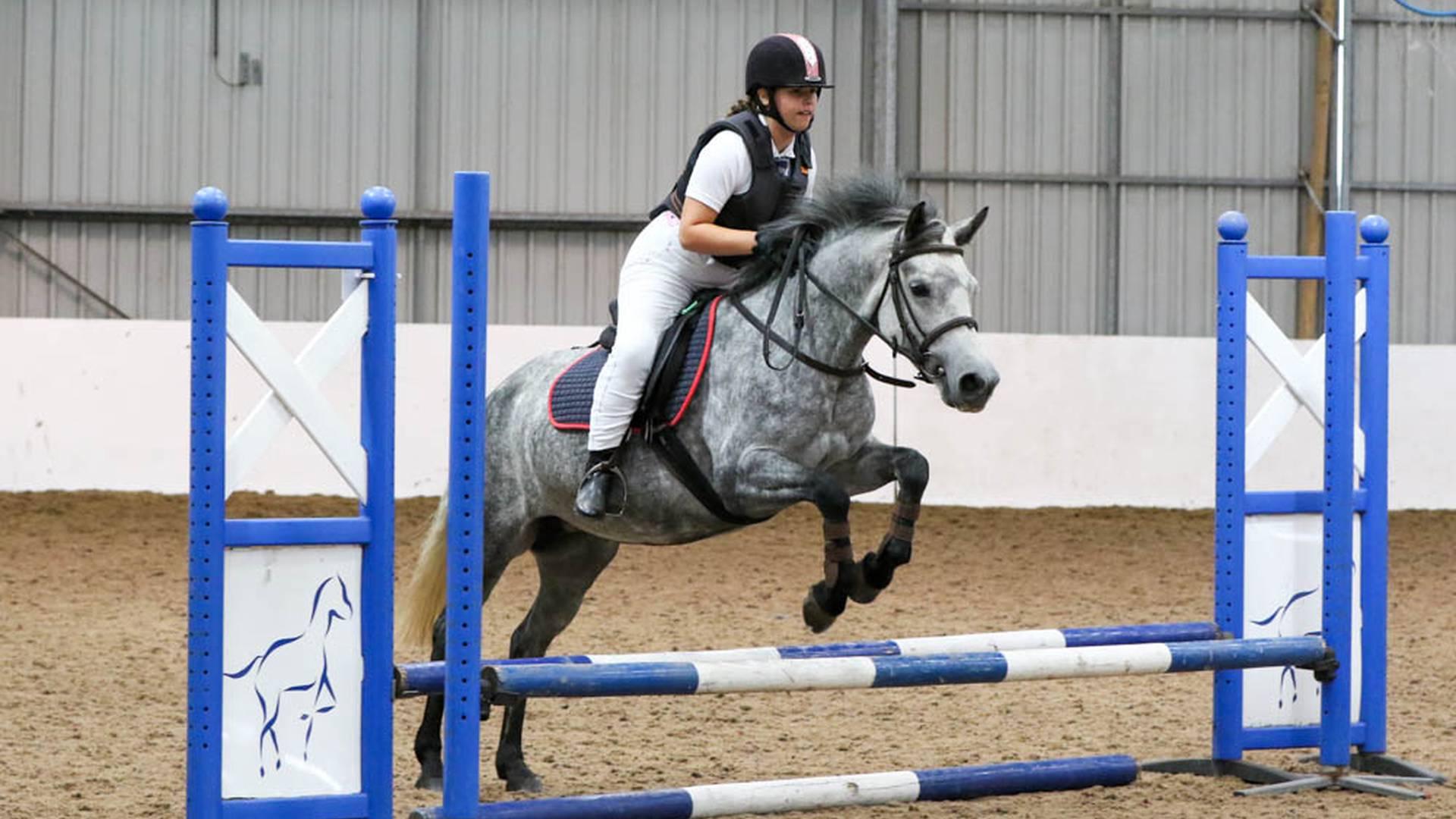 Quob Stables Equestrian Centre photo