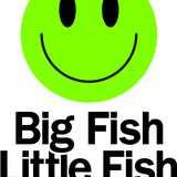 Big Fish Little Fish logo