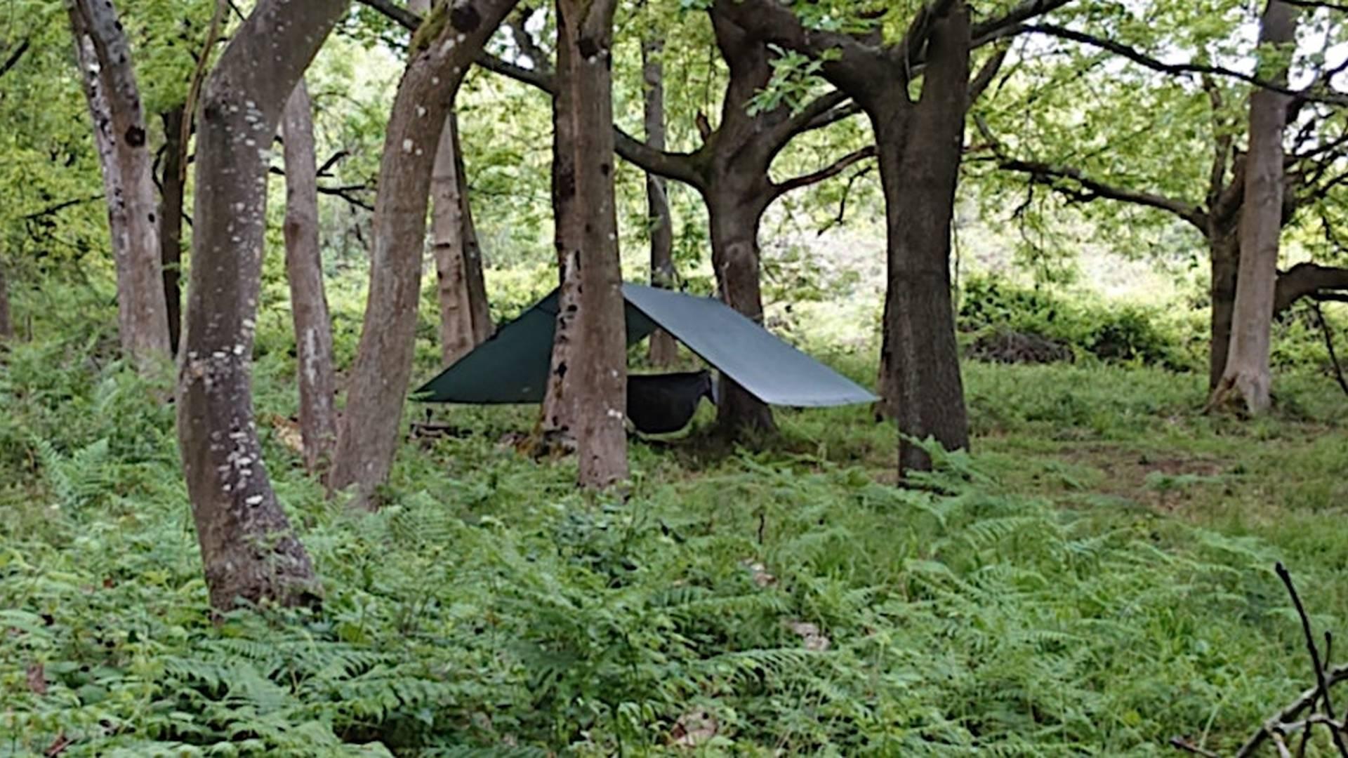 Springtime Bushcraft Day photo