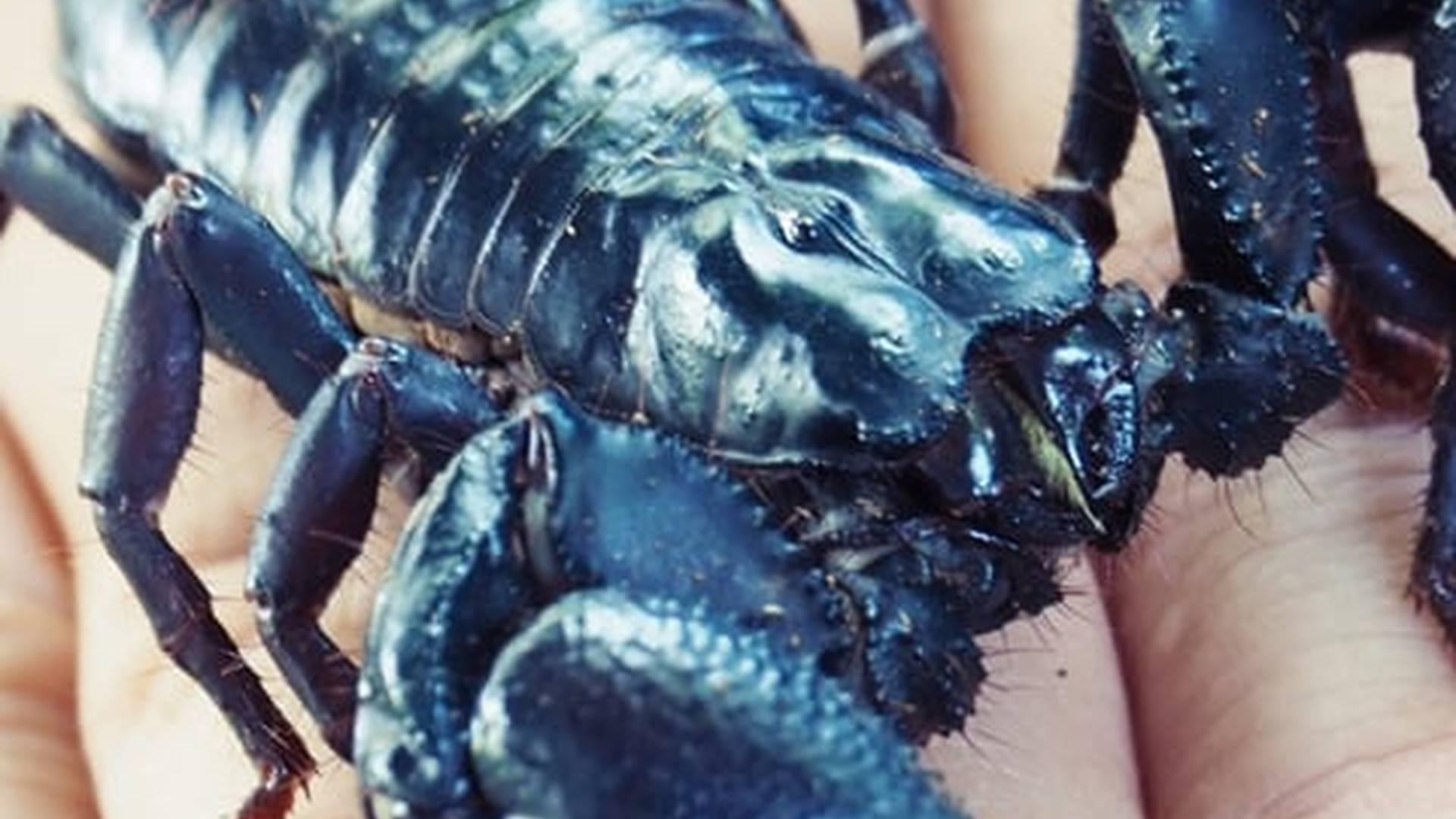 Members' Week: photo