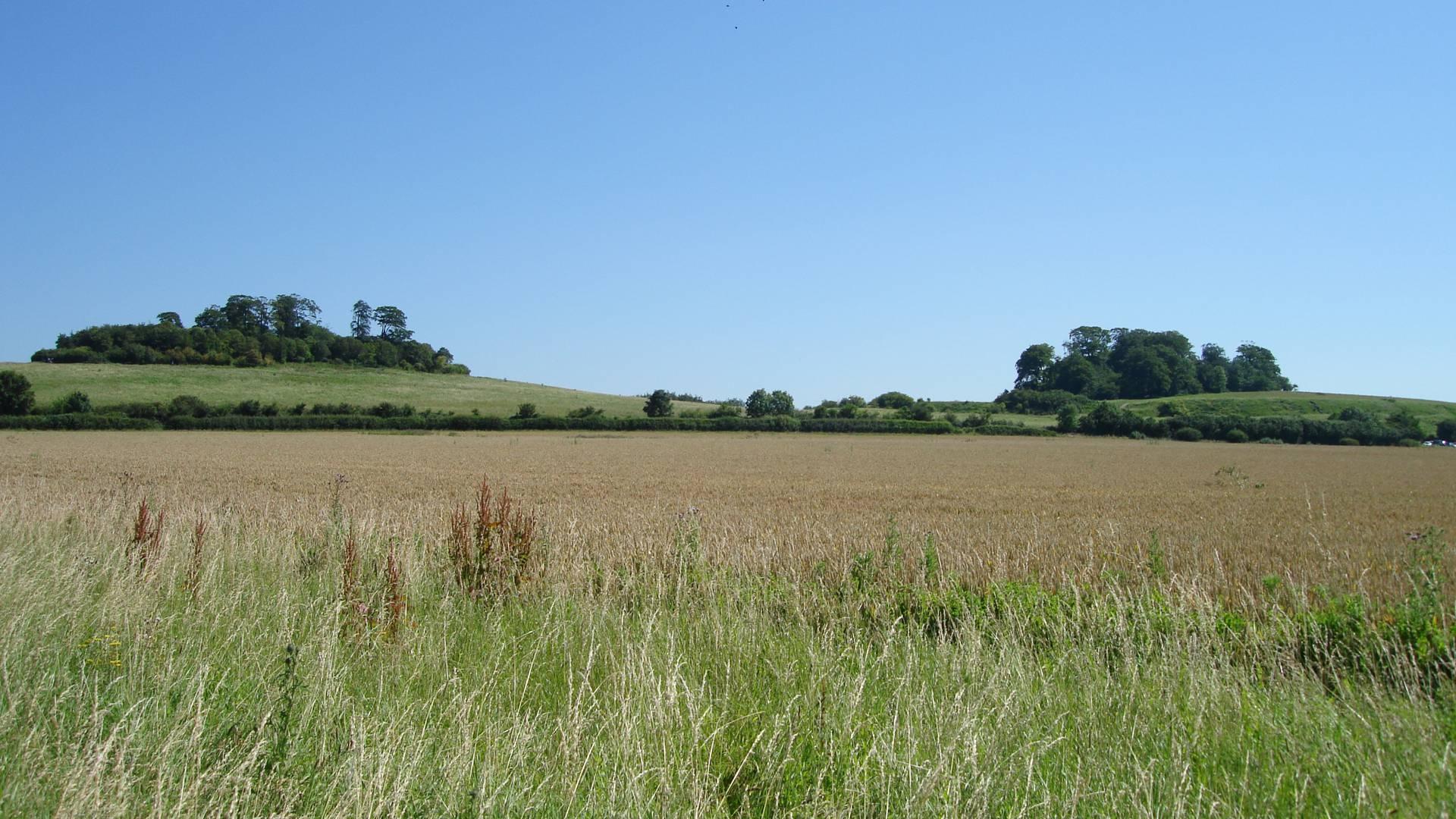 Earth Trust photo