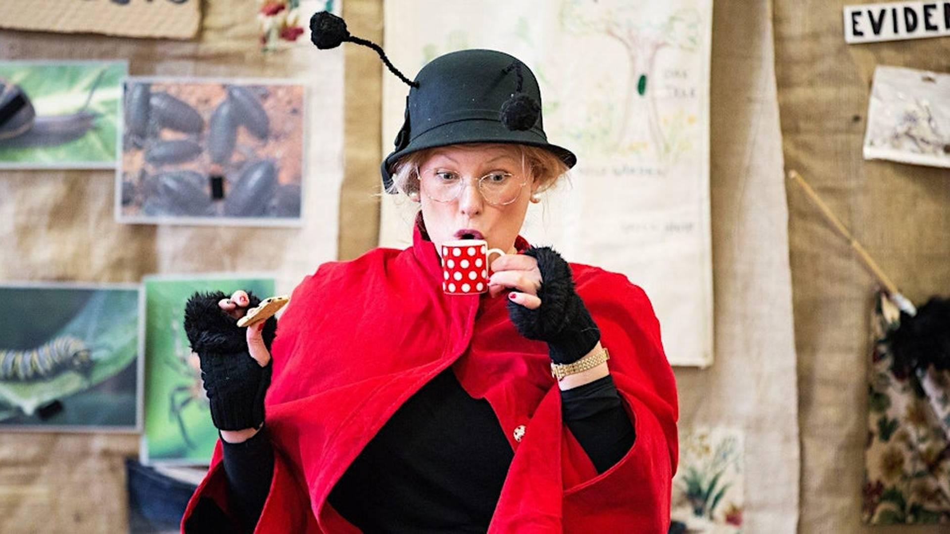 Family Theatre @ Yate Library: DragonBird Song - Ladybirds Detective Agency photo