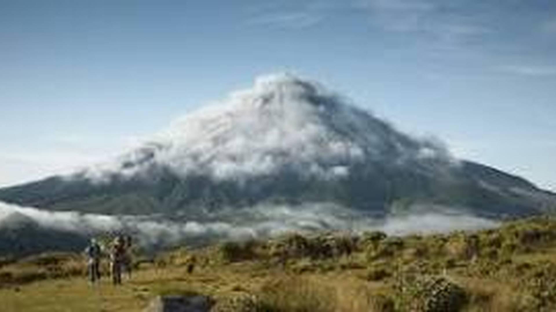 Discovery Family Film Club: The Mountain photo