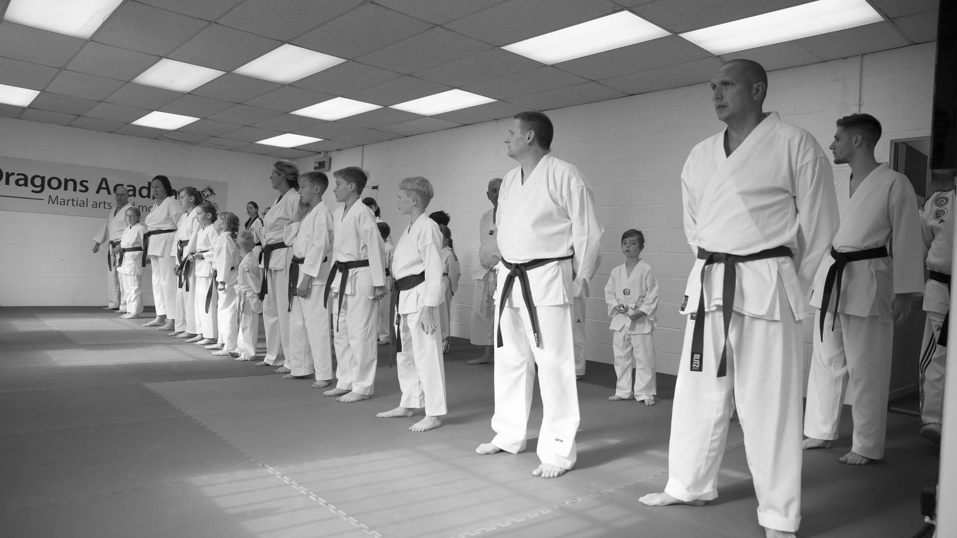 Dragons Academy photo